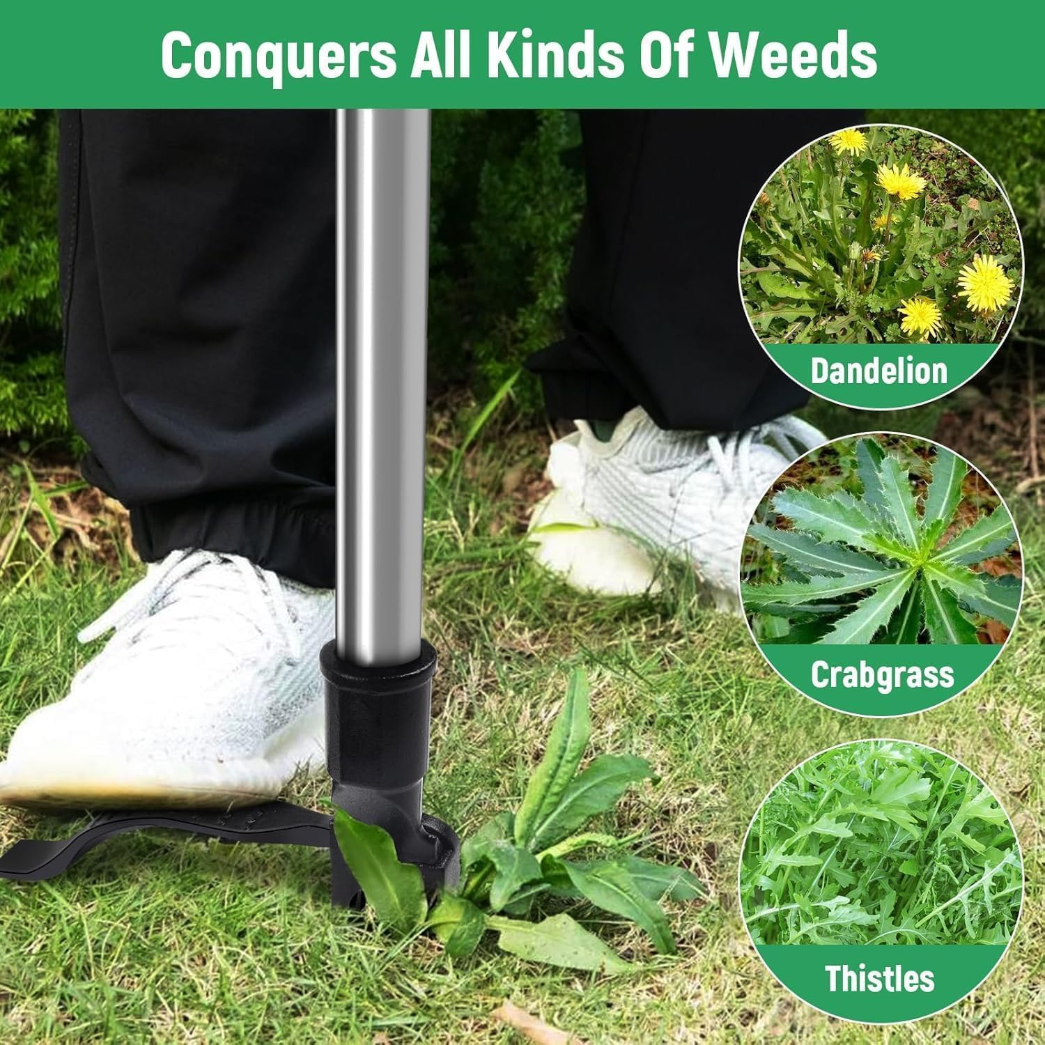 Weed Puller Tool, 4-Claw Stand up Weeder with Adjustable 46&rdquo; Handle for Remove Weeds without Bending, Pulling or Kneeling image number 5
