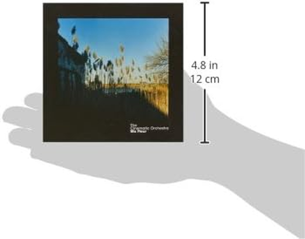 MA FLEUR image number 3