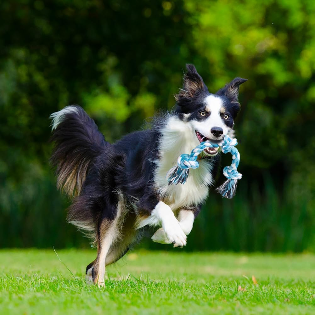 Dog Rope Toys, Durable Braided Cotton Pet Chew Rope Toys for Dog Cat Puppy Teeth Cleaning (Sky Blue, One Size)