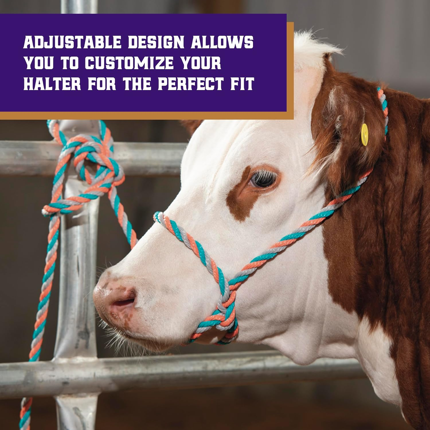 Weaver Leather Livestock Cattle Poly Rope Halter image number 1