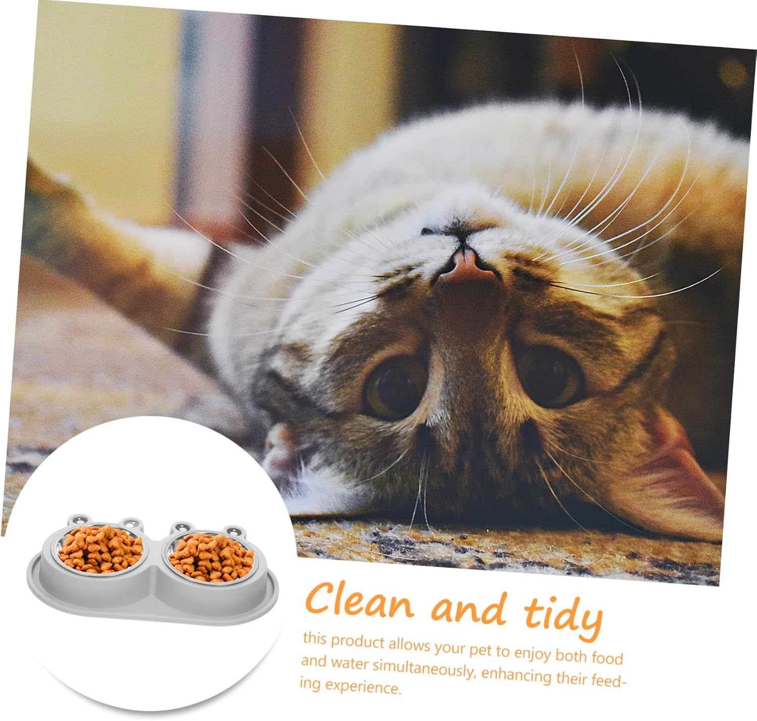 ANDRESLAD Ant Cat Bowl Non-Slip Pet Bowl for Cat Food Dish and Water for Indoor Feeding