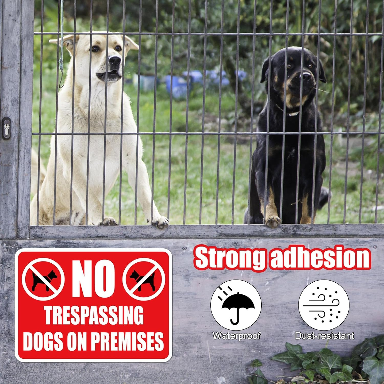 6Pcs Forbidden Access for Dogs on the Terrain Sign, 18X13Cm Dogs on the Terrain Sticker Waterproof Beware of Dogs Sign Prohibited Access for Dogs Sign for Home Garden Door Garden image number 6