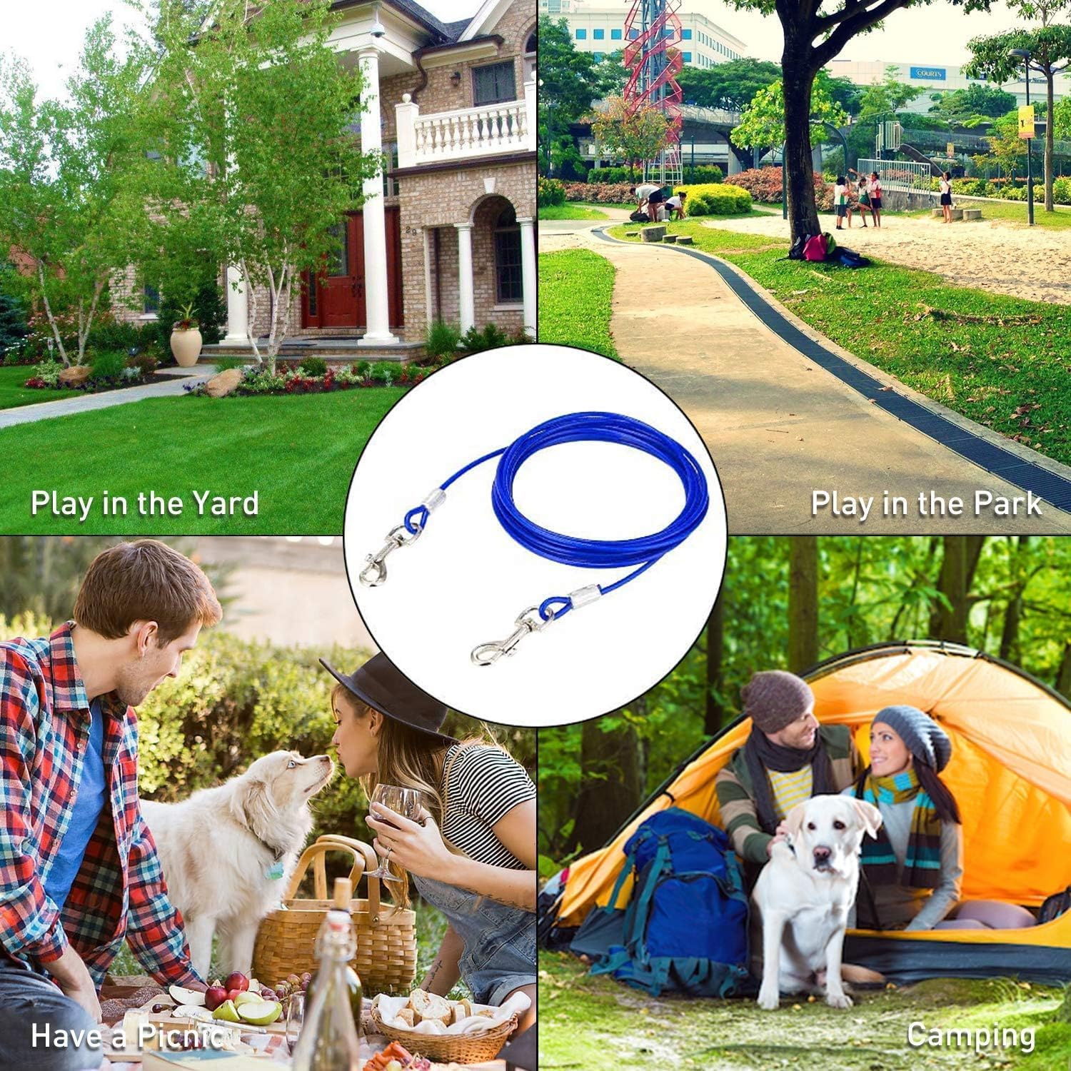 Dog Tie Out Cable and Stake, outside Dog Leash&Chain for Camping and Yard, Heavy Duty anti Rust Spiral Stake for Medium-Large Dogs up to 125 Lbs (Blue, 3M-10Ft)