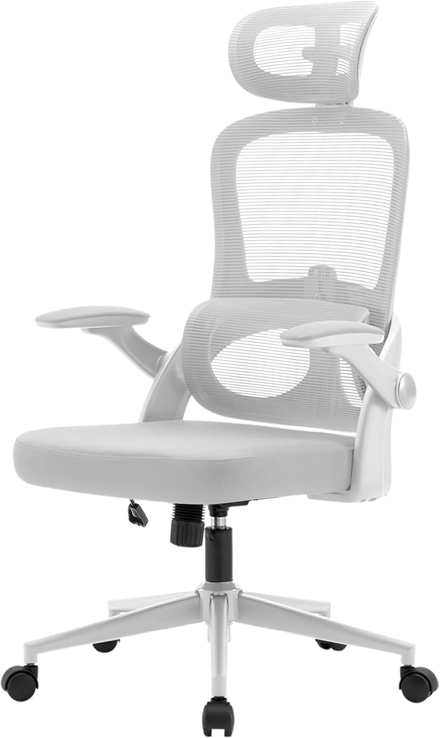 SIHOO M102C-M102Ergonomic Office Chair, Computer High Back Chair with Dual Back Design - Individual Lumbar Pillow, 3D Armrests, Adjustable Headrest and Comfortable Thick Cushion (Gray)
