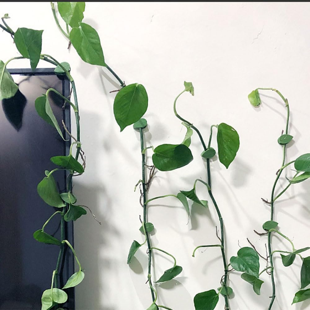 30 Pieces Plant Climbing Wall Fixture Clips with 36 Pieces Acrylic Adhesive Sticker Leaf Fixer Invisible Wall Vines Fixing Clips Self-Adhesive Hook Plant Vine Traction for Indoor Outdoor Decoration