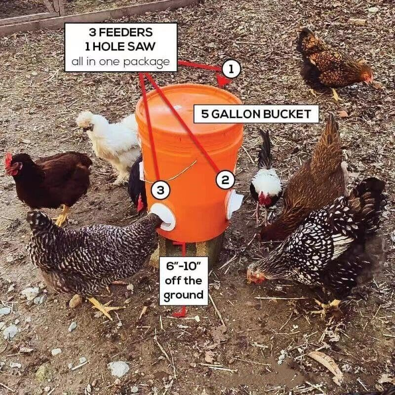 New Chicken Feeder Poultry Pro Feeder DIY Port PVC Gravity Fed Chicken Feeder, Rainproof, Reduces Waste, Includes 4 Feeding Ports and Hole Saw - 5 Pcs/Set (4*Ports+1*Hole Saw) image number 4