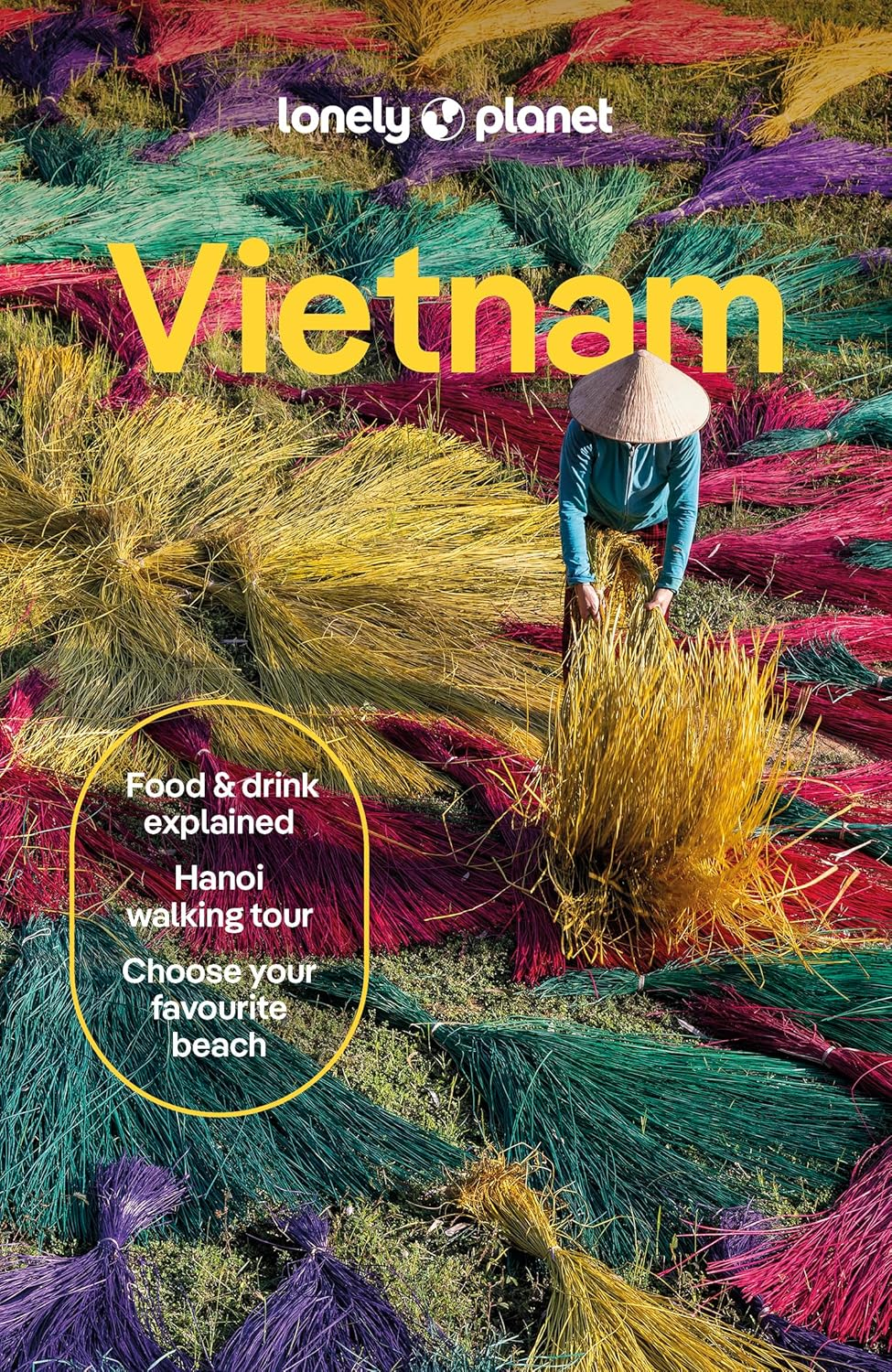Lonely Planet Vietnam image number 2