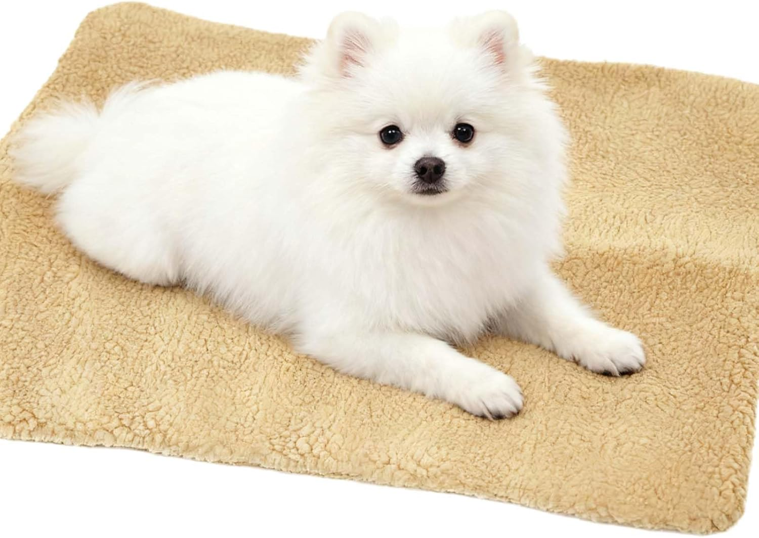 MINZHI Large Dog Mat, Dog Bed, Dog Cushion, Thermal Blanket, Cat Cushion, Warming for Dogs and Cats, Fluffy Cat Bed, Pet Warmer, 60 X 45 Cm image number 4