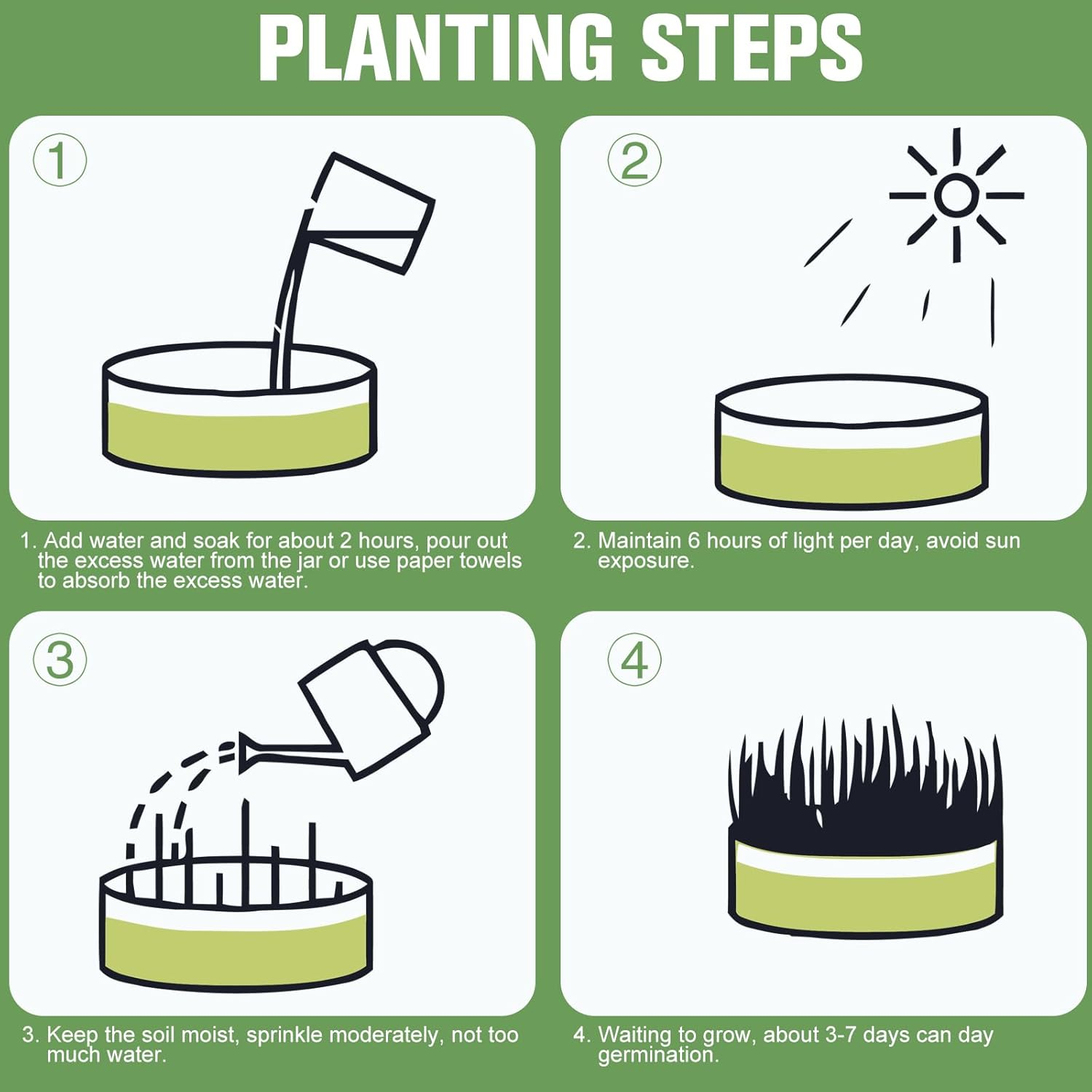 Premium Cat Grass Growing Kit - 4-Pack, Easy Planting for a Natural Treat for Cats and Other Pets image number 4