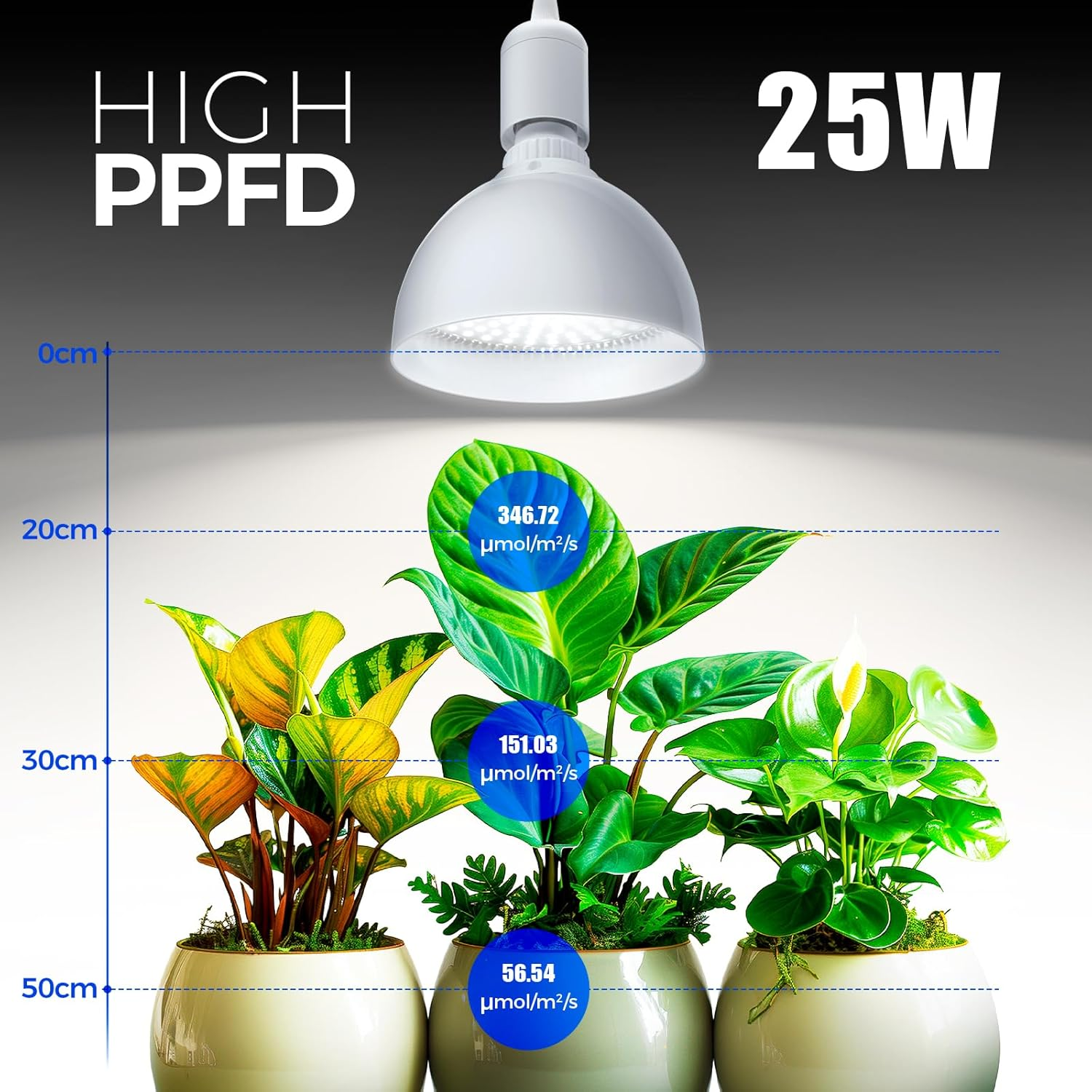 Barrina Grow Light for Indoor Plants, 25W Full Spectrum LED Grow Light Bulb with Timing and Hanging System, 4H/9H/14H Timer, Grow Lamp for Seedlings Growing, Blooming, Fruiting image number 3