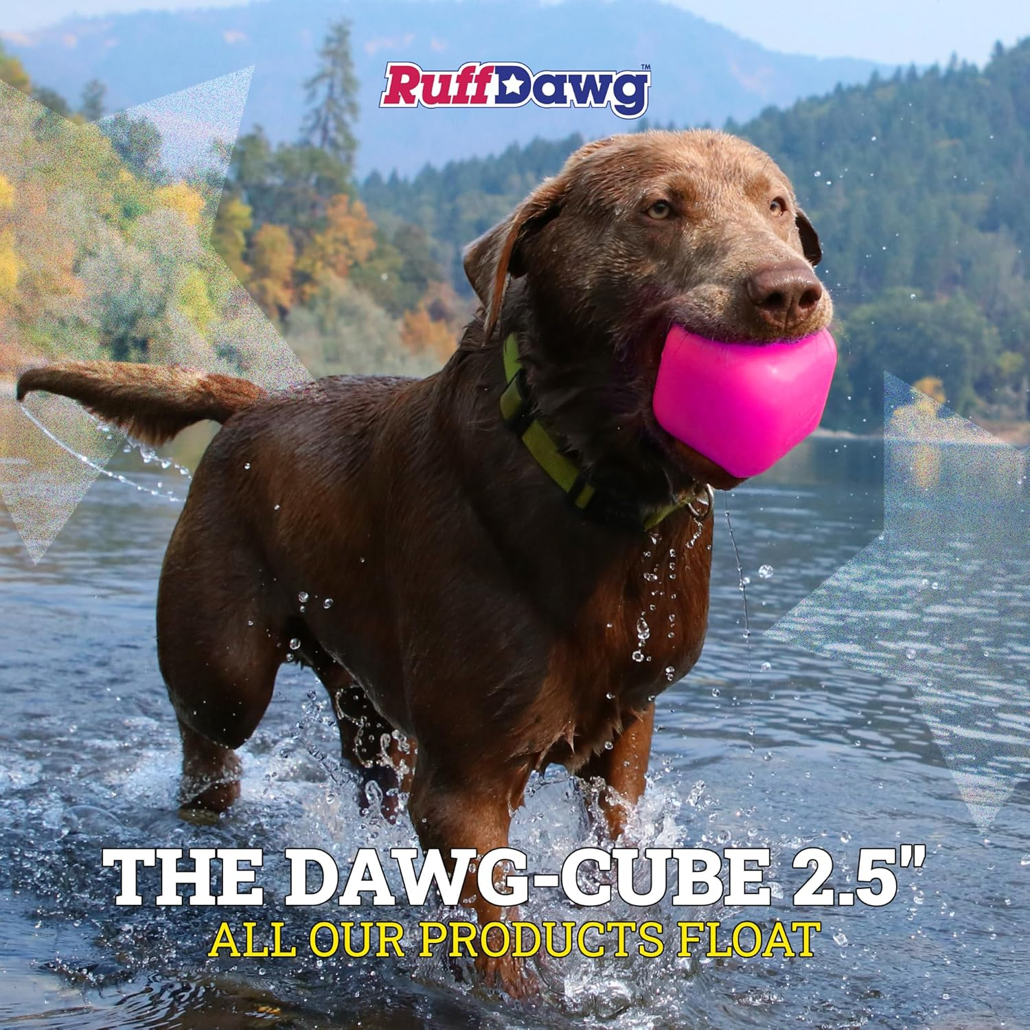 Ruff Dawg Indestructible Dawg-Cube Dog Toy - Crazy Bouncing Toy, Retrieving, Fetch, Made in the USA, Floats, 2.5 Inches Square, up to 40Lbs image number 2