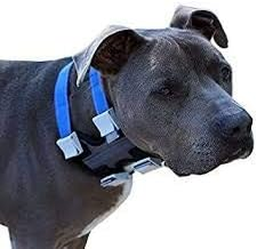 Cesar Millan Pack Leader Collar&trade; - Training Collar of the Dog Whisperer (Large, Grey) image number 1