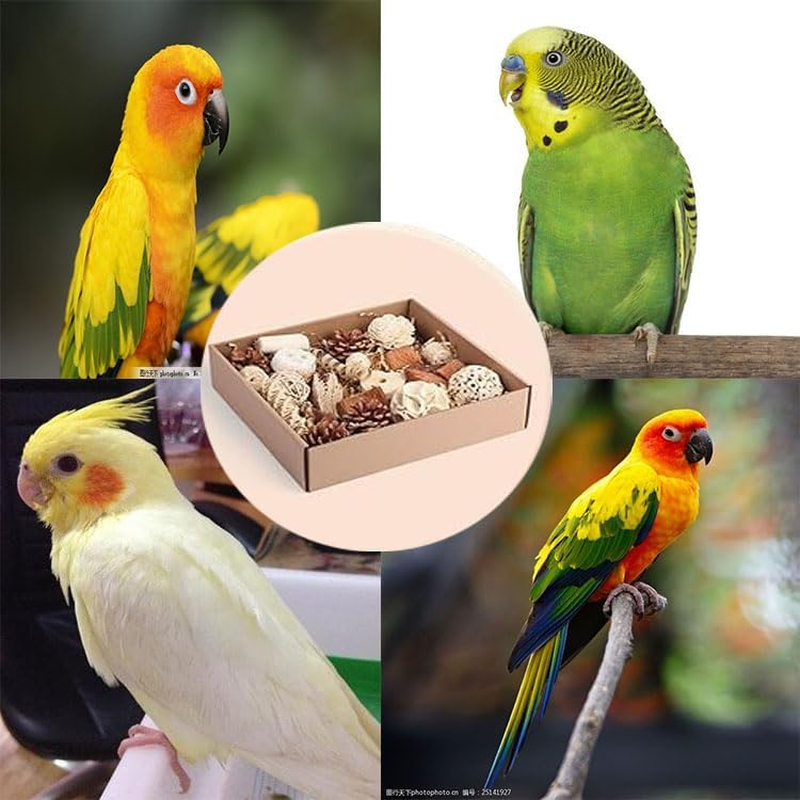 Limcryspp Natural Foraging and Biting Toy Box, an Interactive Biting Toy Suitable for Tiger Skin, Black Phoenix, Cone-Tailed, Peony Parrot and Small and Medium-Sized Birds image number 4