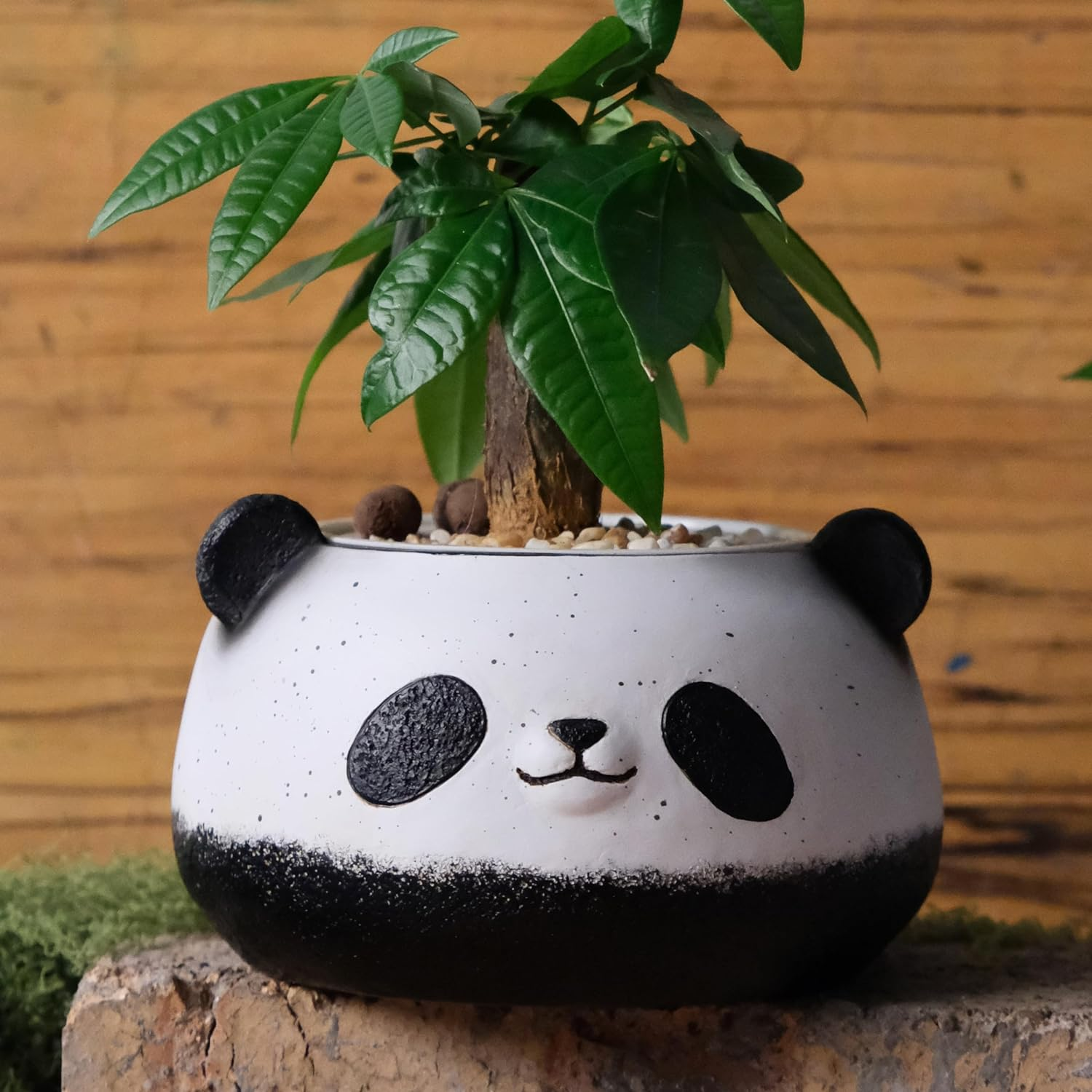 Small Panda Bear Plant Pots, Resin round Flower Pots, Cute Succulent Pots with Drainage Holes, Home Decor Planters for Animal Lovers image number 1