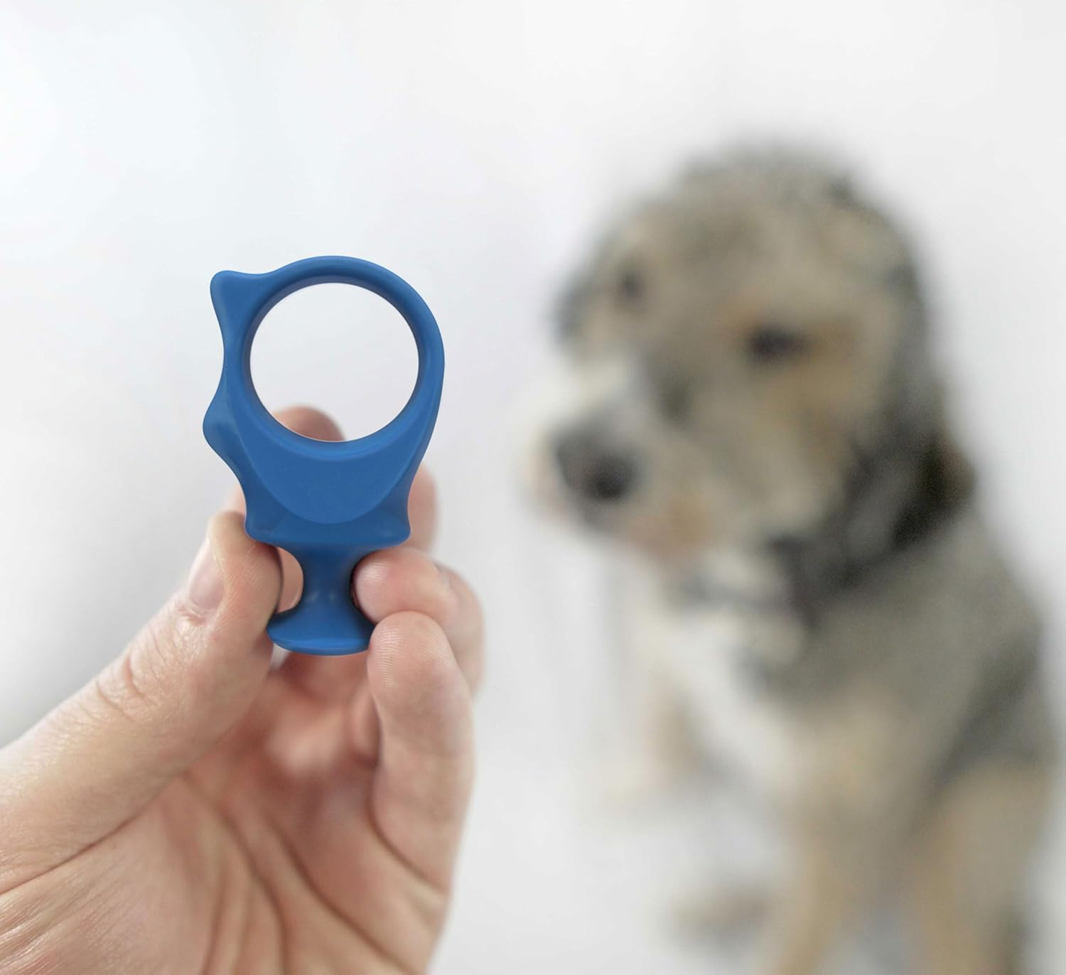 Paw Ready Oral Care Brushing Bundle Dental KIT (Toothbrush, Small Bite Block and Banana Mint Toothpaste 70G) image number 3