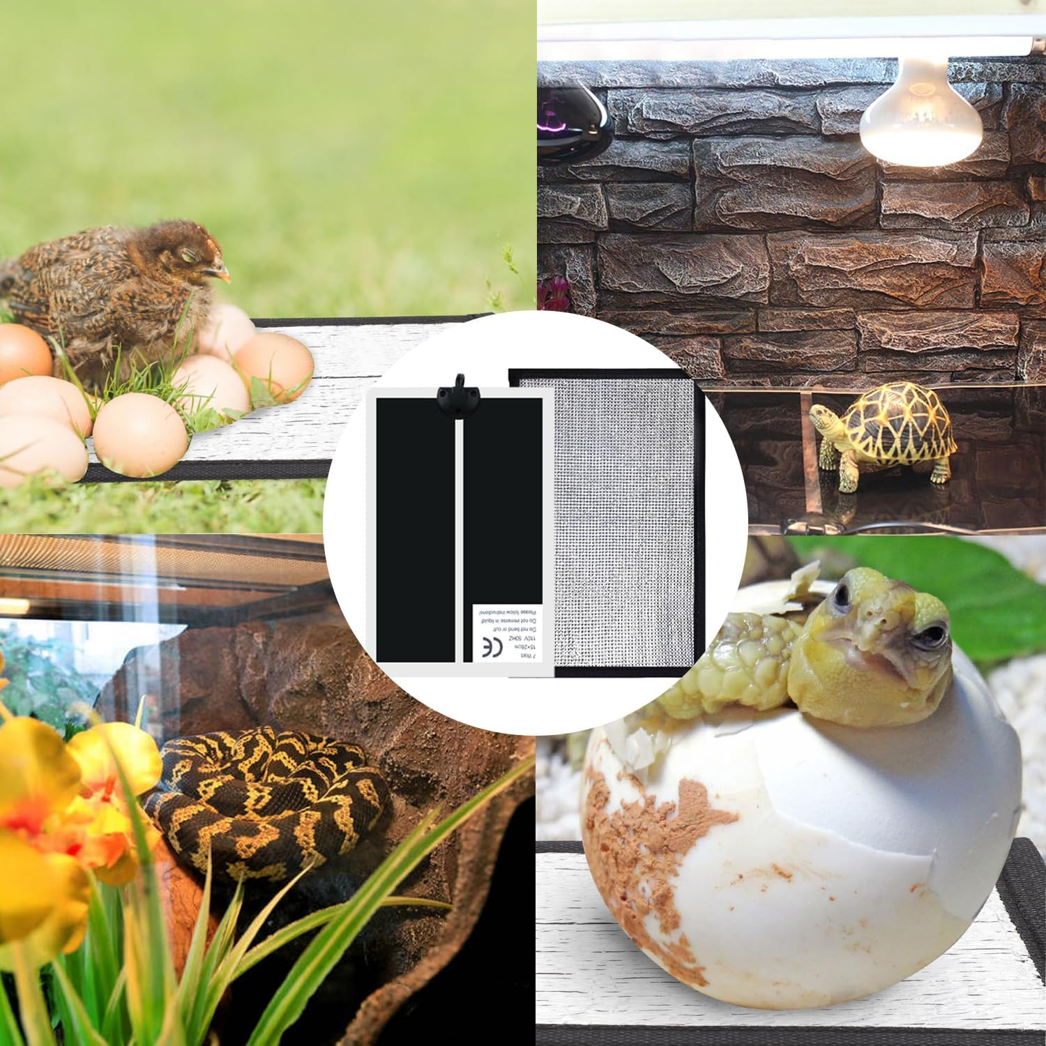 7W Reptile Heat Pad, Reptile Heating Mat with Insulation Pad, Adjustable Temperature, Terrarium Heater, Waterproof and Durable, Suitable for Fish Tanks and Small Animals (7W) image number 5