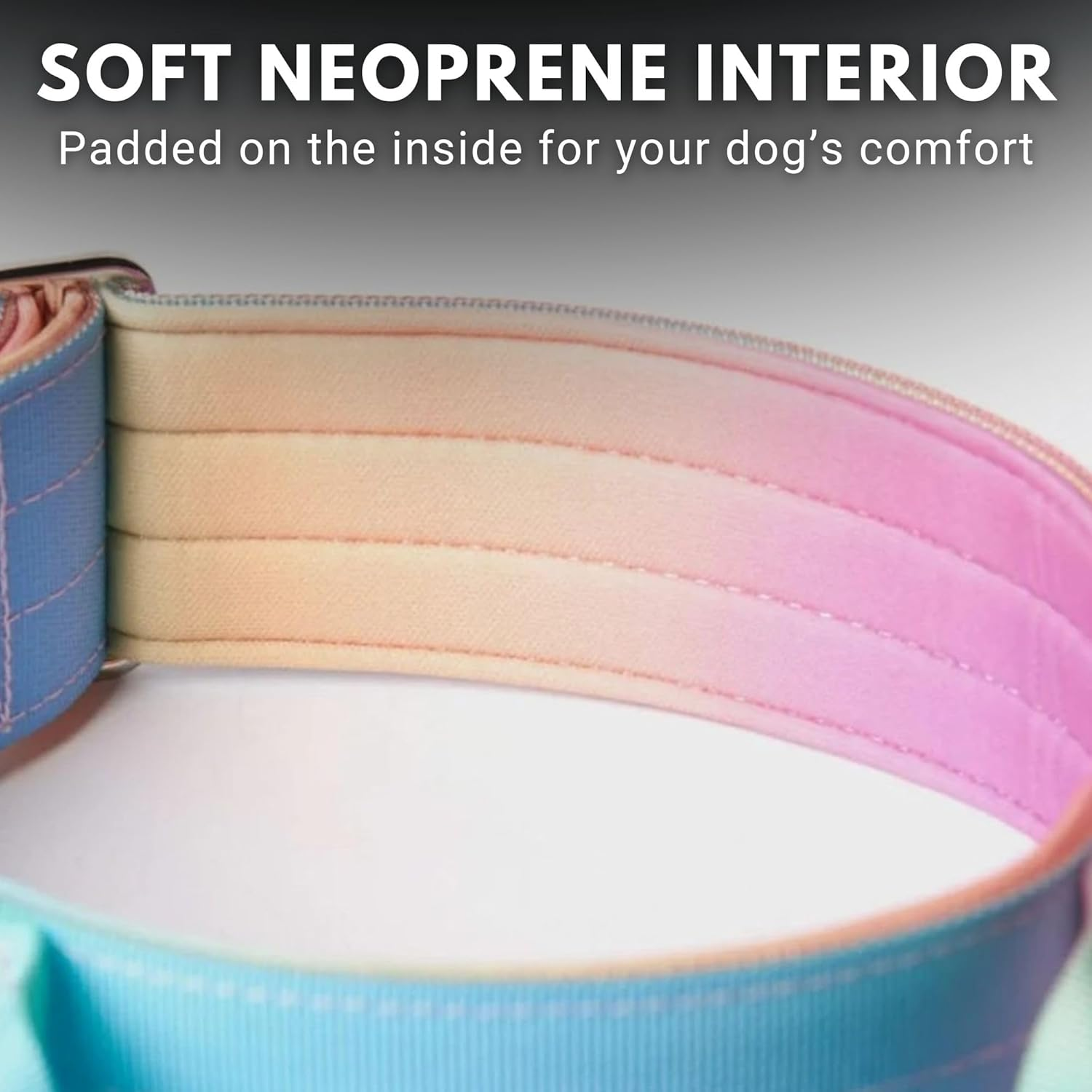 Spark Paws Tactical Dog Collar - Robust, Premium Quality, Thick and Durable for Large and Medium Dogs - Pastel Icing - L, 5 Cm image number 3