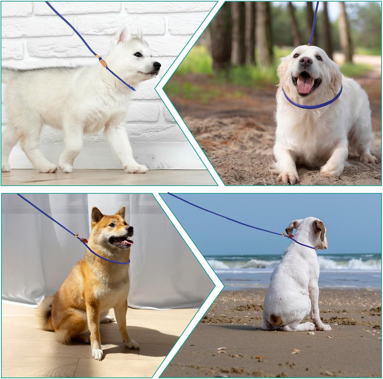 5FT Blue Polyester Dog Slip Leads No Pull Control Leash for Small, Medium, Large Dogs image number 1