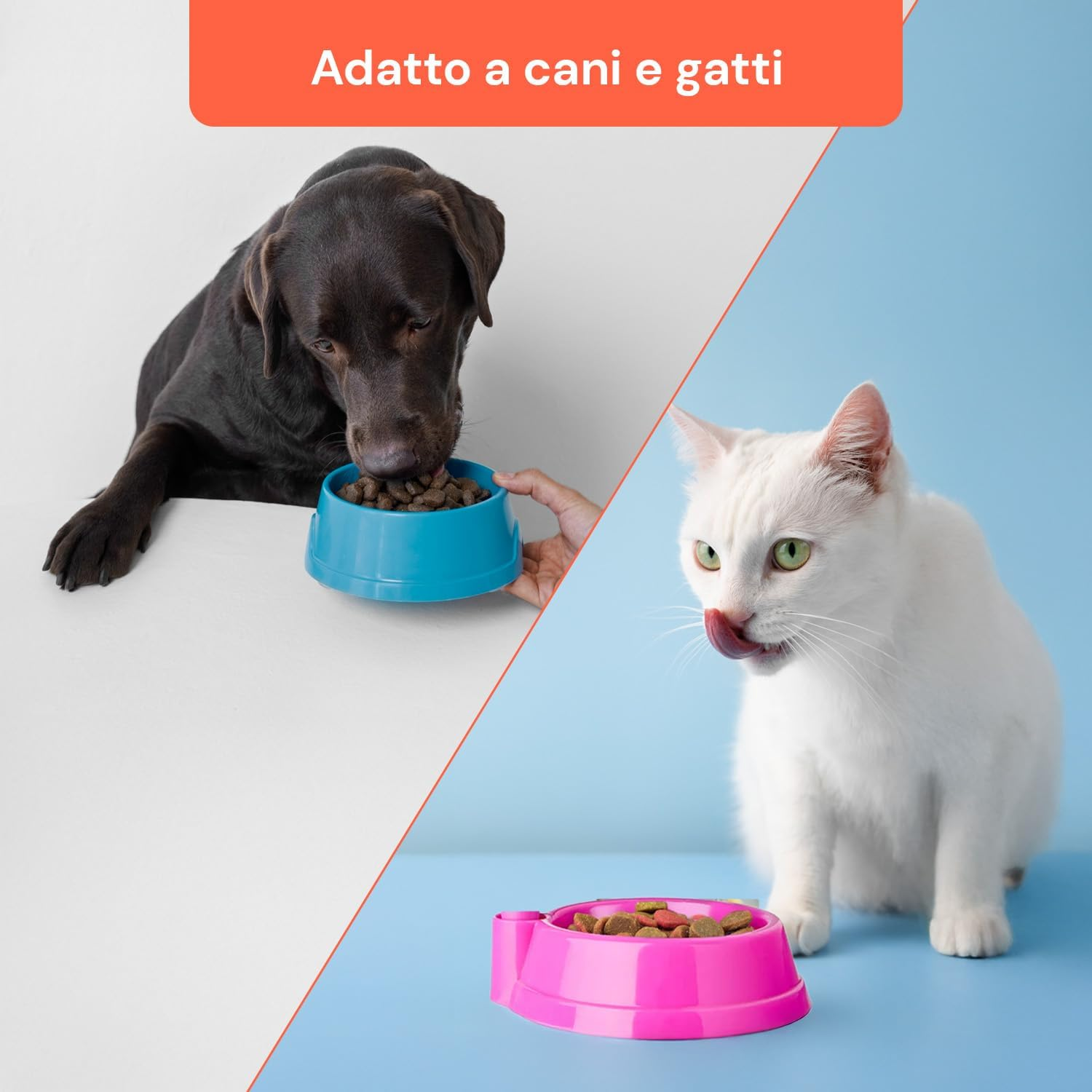 Avilia Heavy Duty Plastic Cat Dog Bowl Set with Brush and Sponge with Soft Bristles Ideal for Grooming Your Pet'S Fur and Paws image number 5