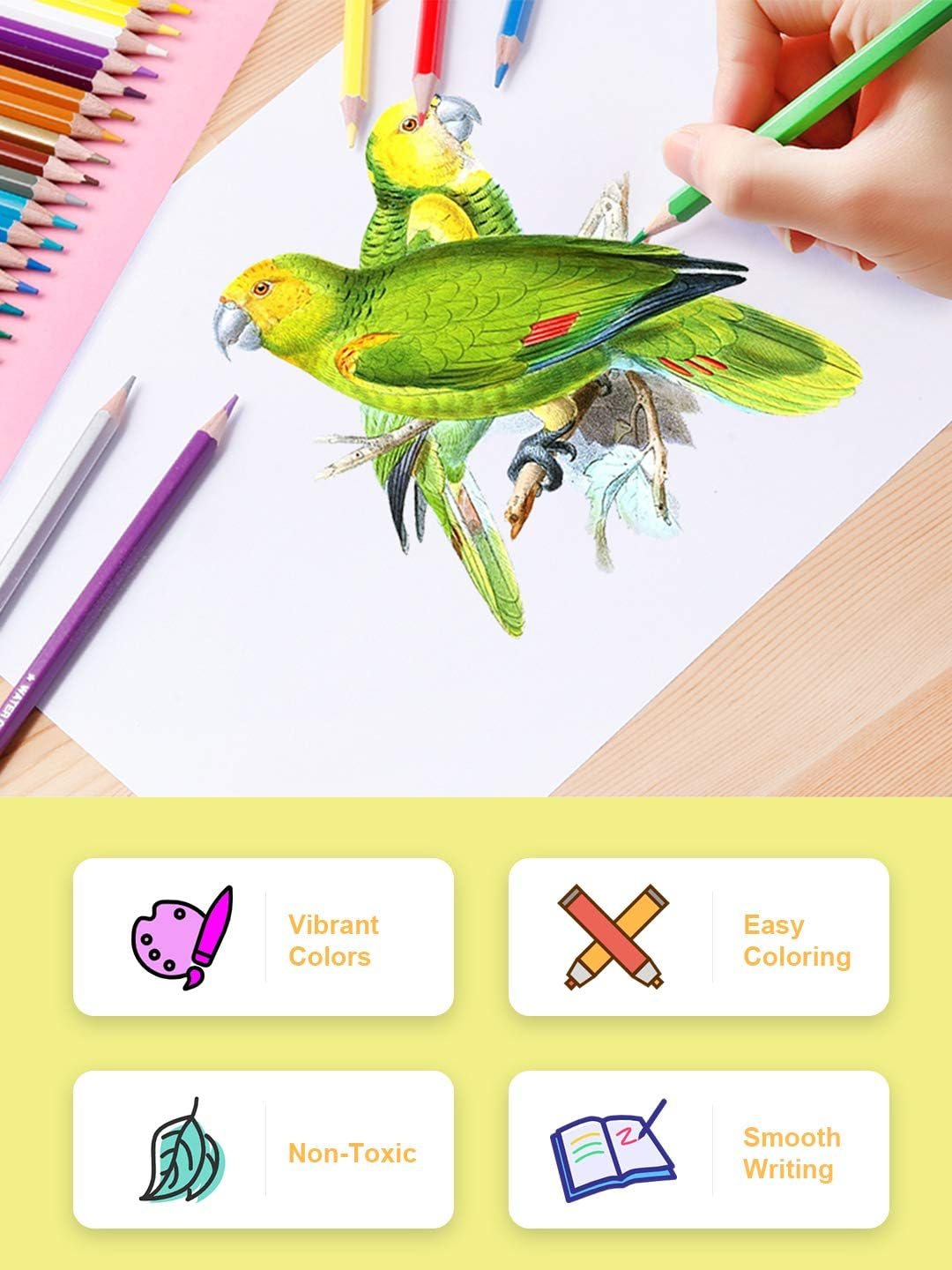 Deli 48 Pack Colored Pencils with Built-In Sharpener in Tube Cap, Vibrant Color Presharpened Pencils for School Kids Teachers, Soft Core Art Drawing Pencils for Coloring, Sketching, and Painting image number 6