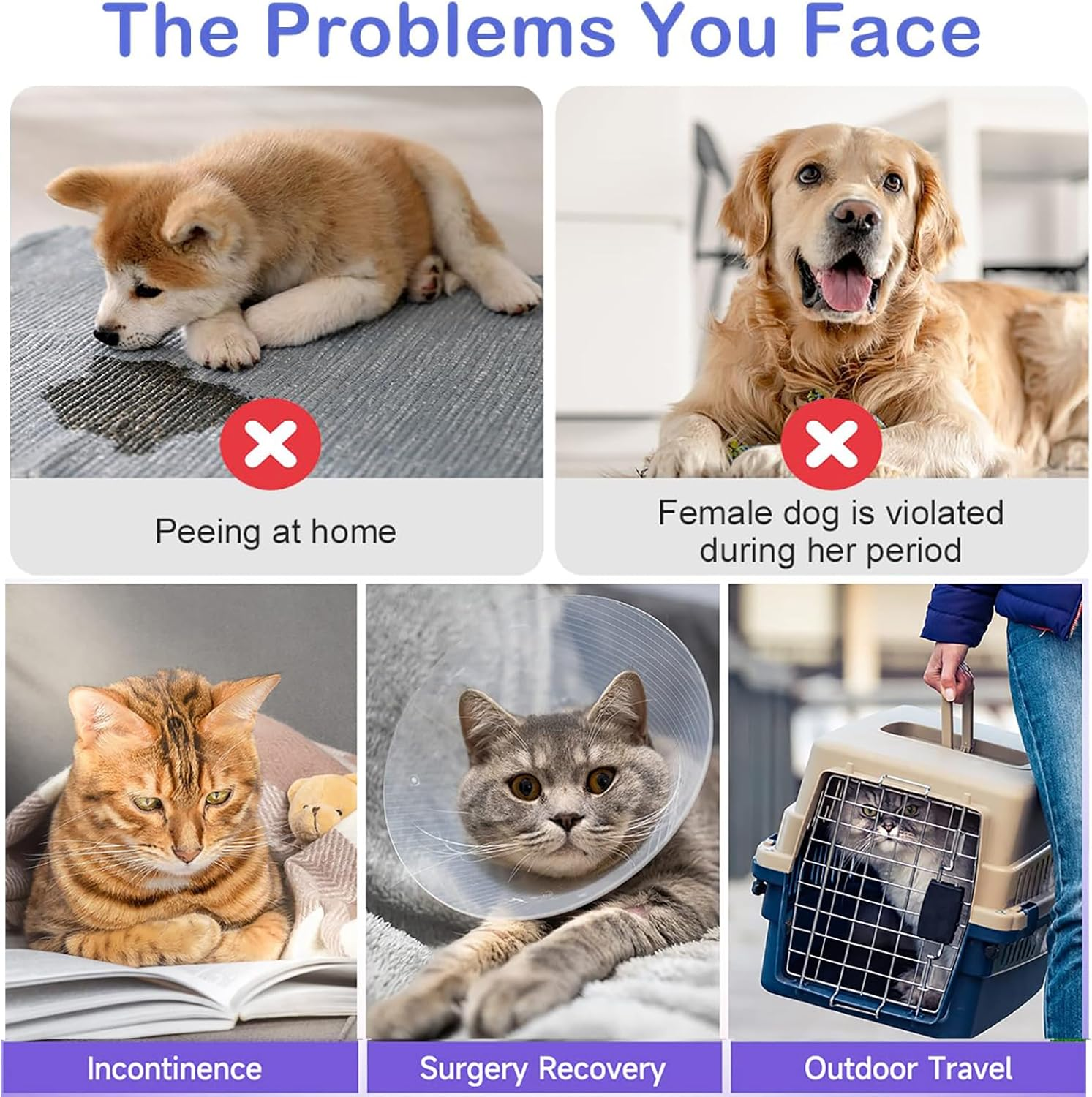 All-Absorb Disposable Female Dog Diapers, Doggie Period Diapers for Female Dogs in Heat, Incontinence, Diaper with Wetness Indicator (10 Count) image number 1