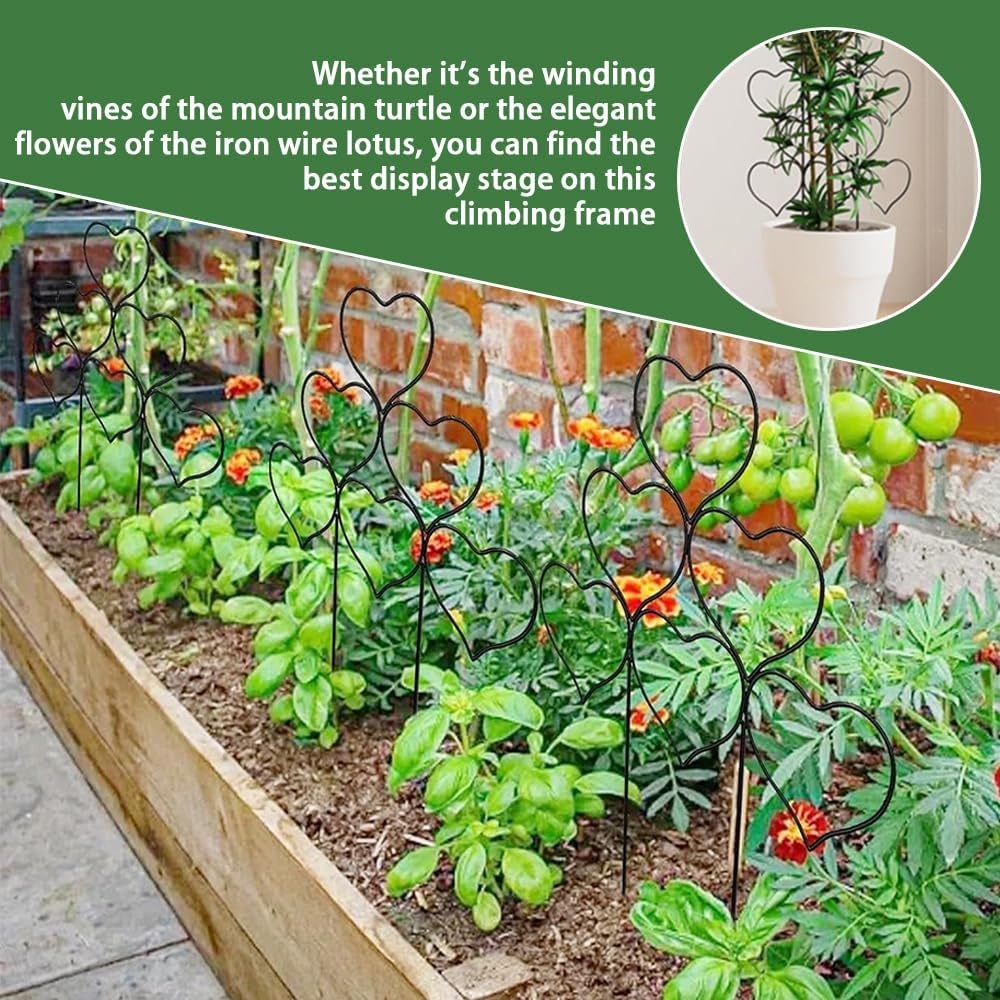 TOMVAES 6 Pcs Black Iron Heart Shaped Climbing Plant Support, Plant Trellis for Garden Potted Plants, Flowers and Veggies image number 3