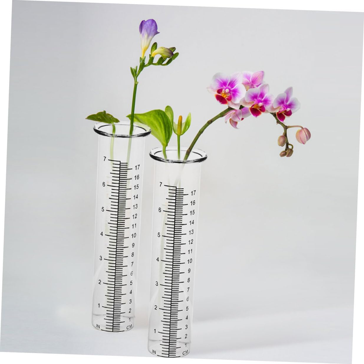 4Pcs Transparent Glass Rain Gauge Tubes Portable Outdoor Rainfall Measuring Tools for Garden Lawn Backyard with Clear Scale Accurate and Easy to Read image number 1