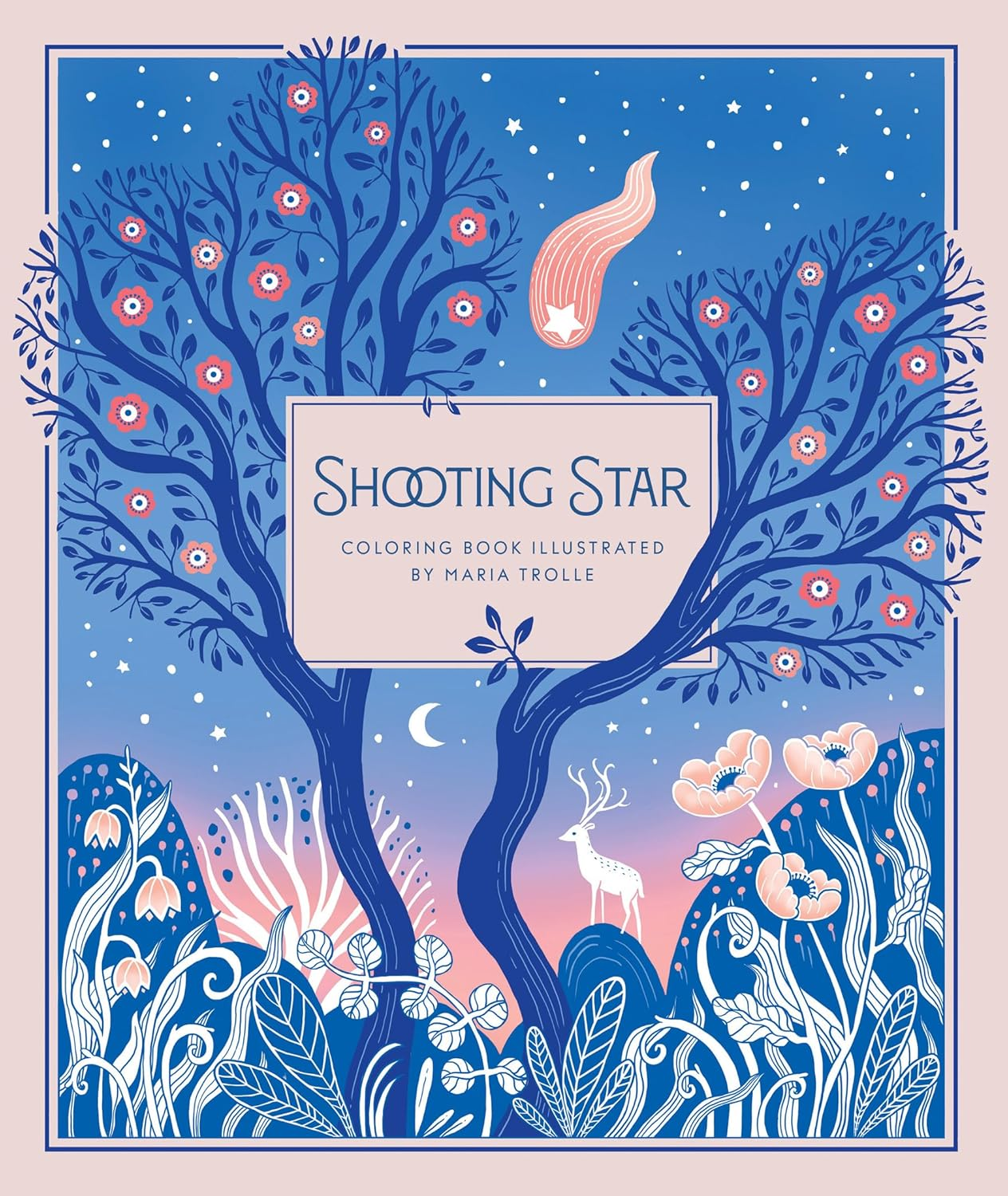 Shooting Star: Coloring Book image number 4
