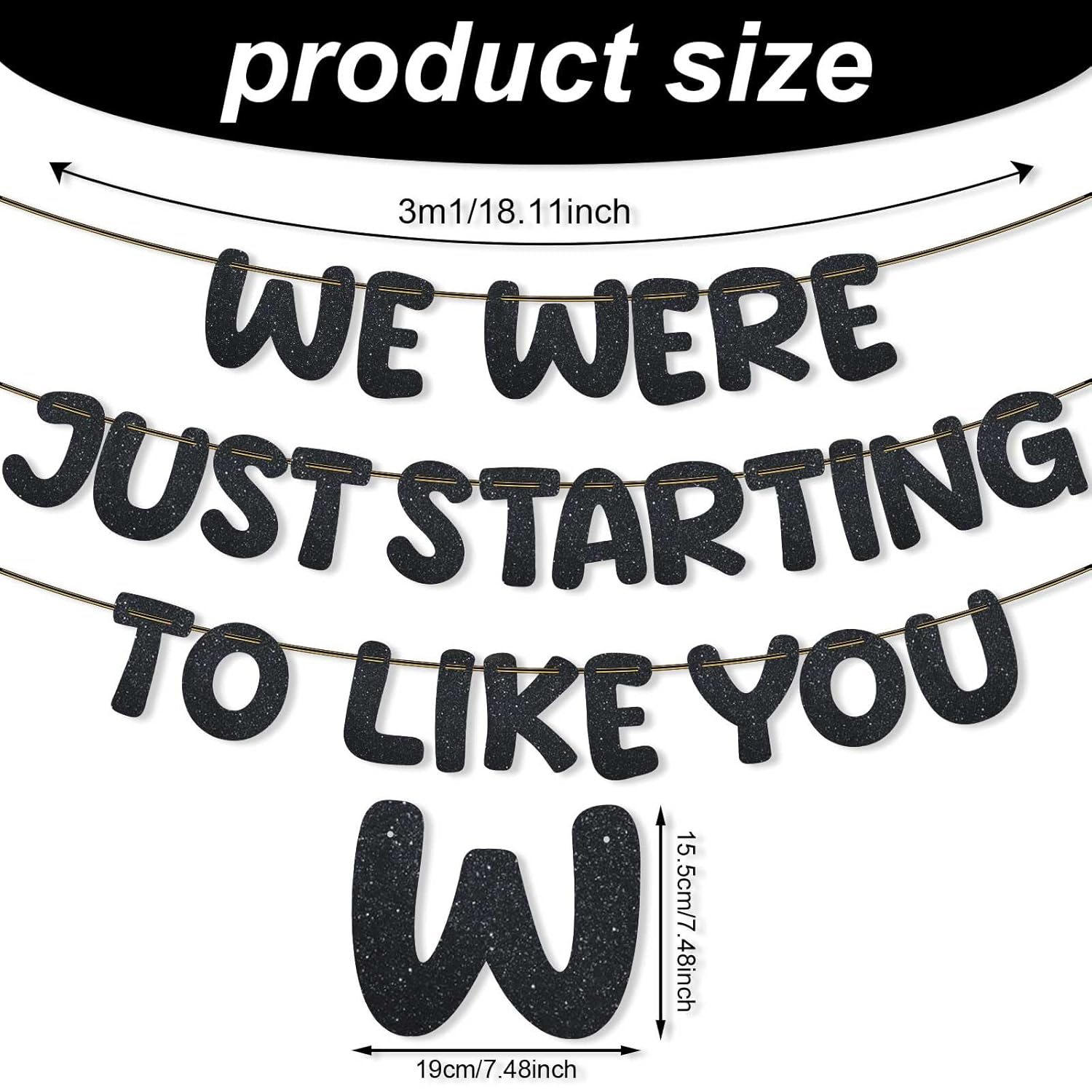 We Were Just Starting to like You Banner, Pre Strung Going Away Party Decorations Glitter Banner Bunting for Farewell Moving New Job Will Miss You Funny Retirement Party Supplies (Black) image number 2