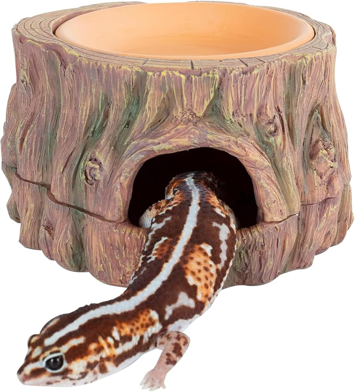 Cozioz 3-In-1 Reptile Hide Cave with Detachable Base & Humidity Dish - Essential Tank Decor for Small Reptiles, Crested Geckos, Leopard Geckos, Lizards, Snakes, and Crabs image number 2