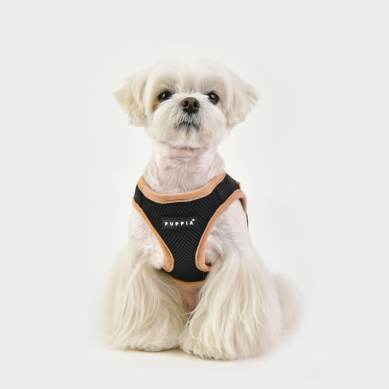 Puppia Soft Mesh Dog Vest Black Tan Trim Extra Large