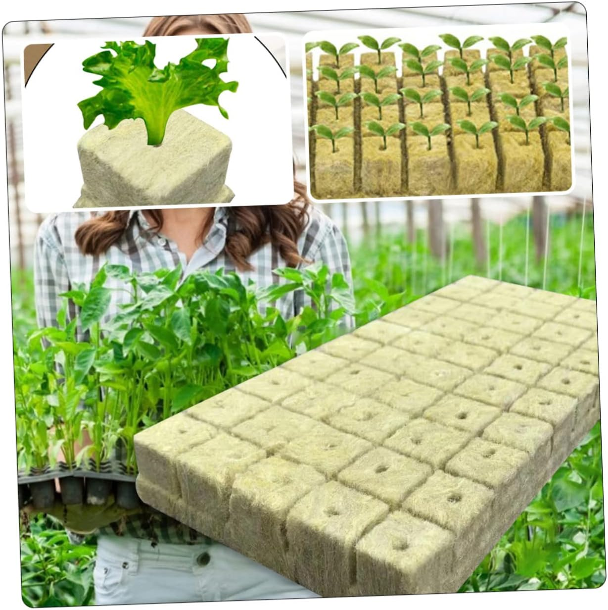 CANIGHT 100Pcs Mushroom Substrate Blocks Plant Nursery Blocks Easy to Use Garden Supplies image number 1