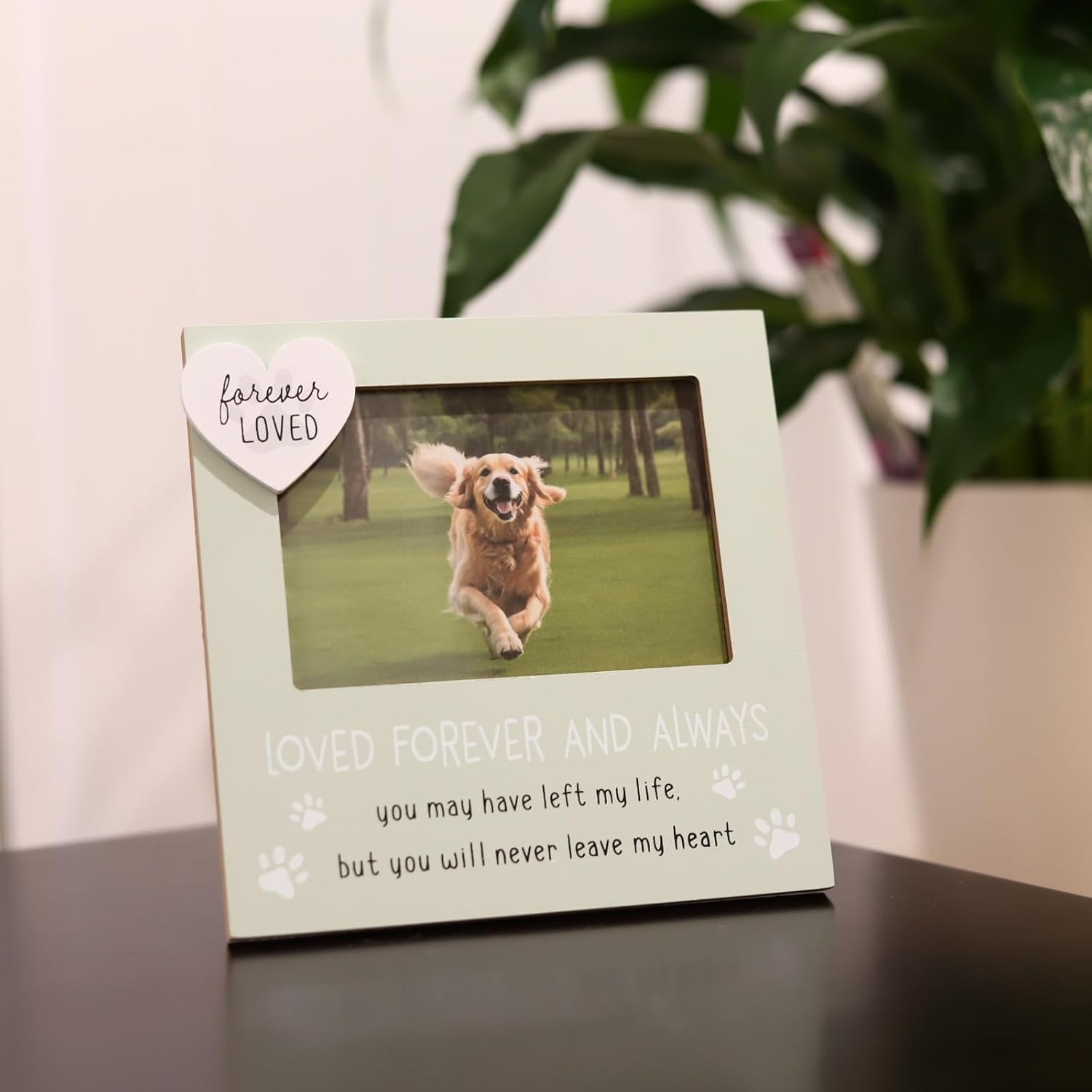 Ballarart CO Pet Memorial Gifts - Cat and Dog Picture Frame - 4X6 Inch Photo Frame for Loss Pet, Sympathy and Remembrance Gift image number 1