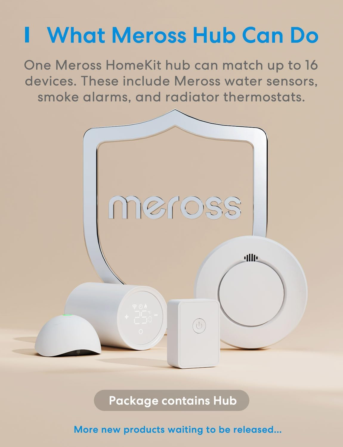 Meross Water Leak Detector, Smart Water Alarm with Hub, App Alert, Replaceable Batteries, Wireless Flood Sensor, Interlinked, Apple Homekit Supported, IP67, for Kitchen Bathroom Basement Garage image number 2