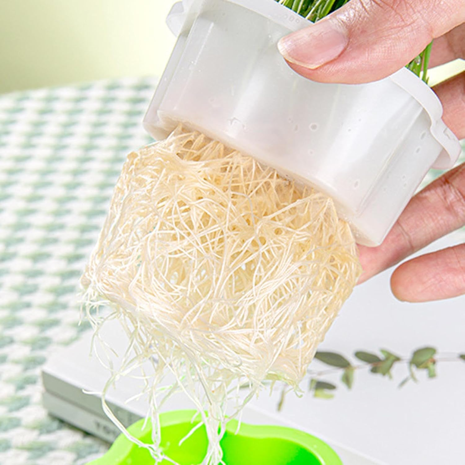 Germination Tray, Plant Tray for Seedlings | Multi-Functional Cultivation Tray | Plant Starter Tray, Reusable Seedling Planter Pot for Seedling Launching, Germination and Gardening Supplies image number 4