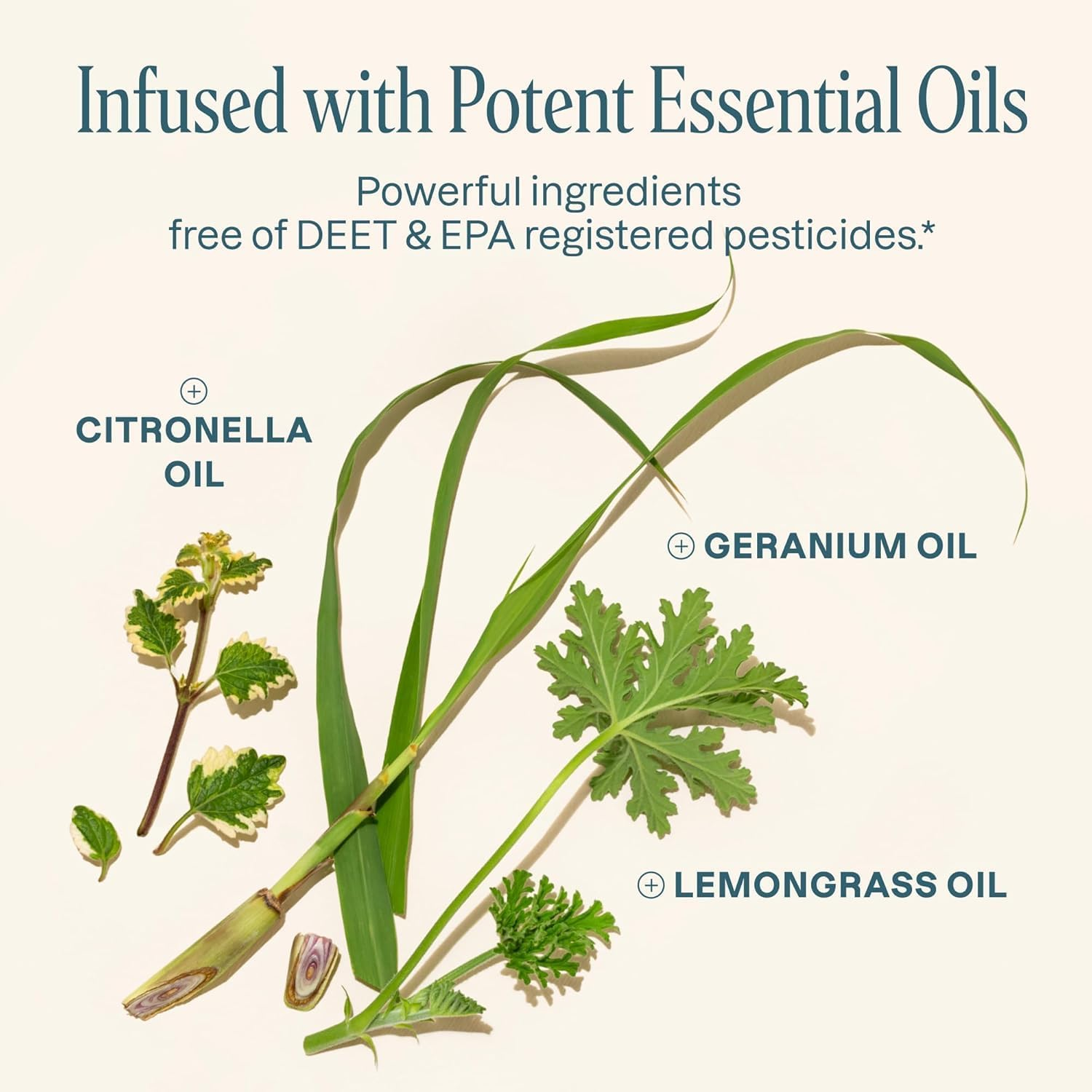 Cliganic 10 Pack Mosquito Repellent Bracelets, Deet-Free Bands, Individually Wrapped (Packaging May Vary) image number 2