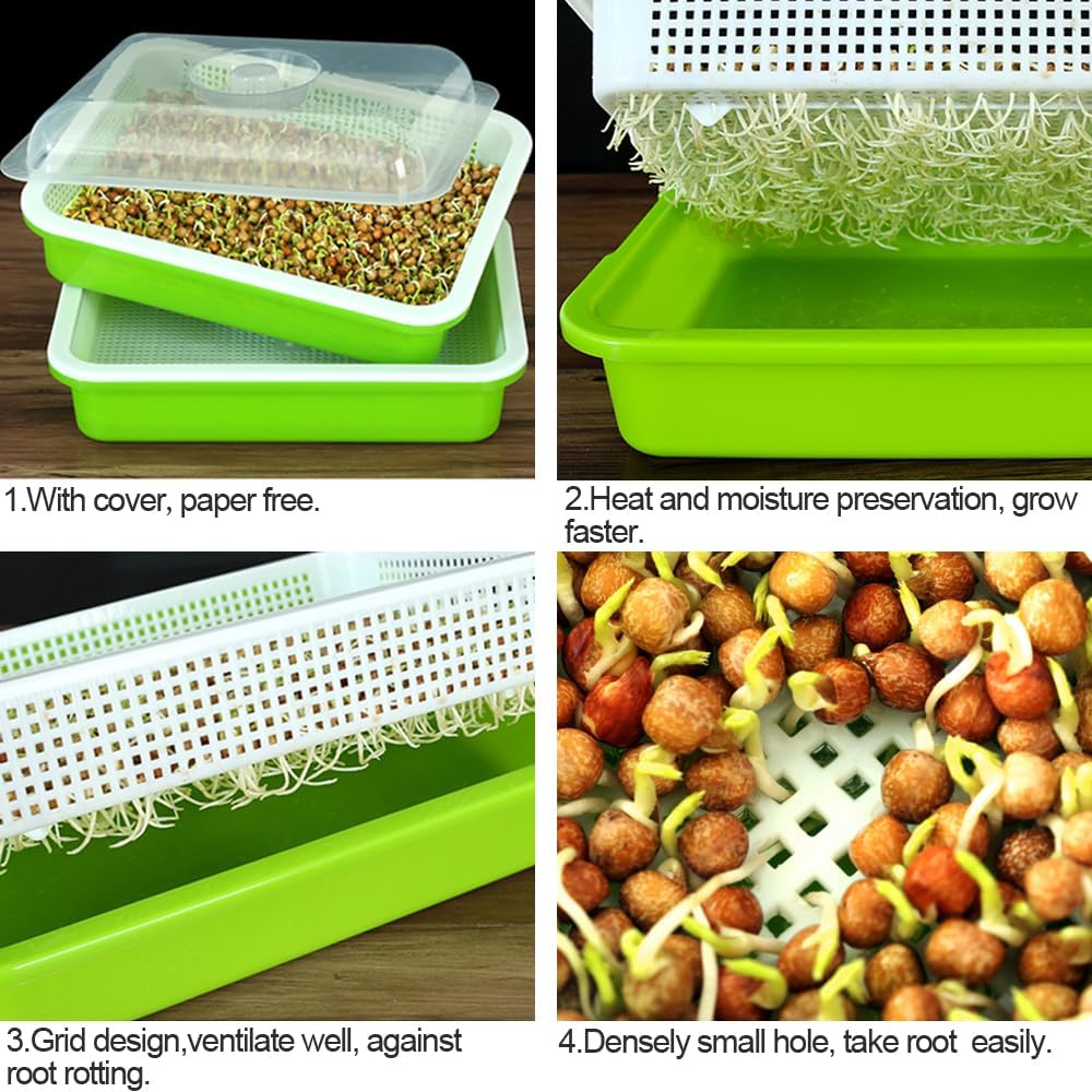 Lejoy Garden Seed Sprouter Tray BPA Free PP Soil-Free Big Capacity Healthy Wheatgrass Grower with Lid Sprouting Kit 13.4X9.84X4.72 Inches,Green image number 1
