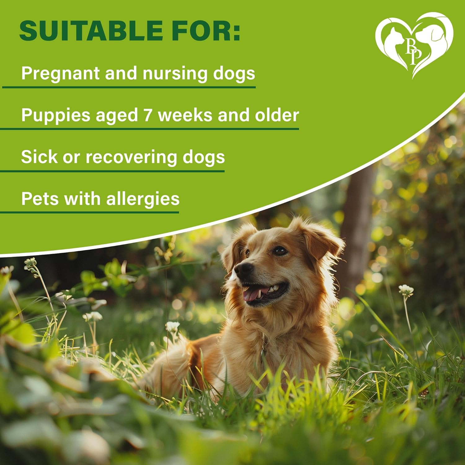 Rolf Club 3D FLEA Collar for Dogs - Flea and Tick Prevention for Dogs - Dog Flea and Tick Control for 6 Months - Safe Tick Repellent - Waterproof Tick Treatment (For All Dogs) image number 6