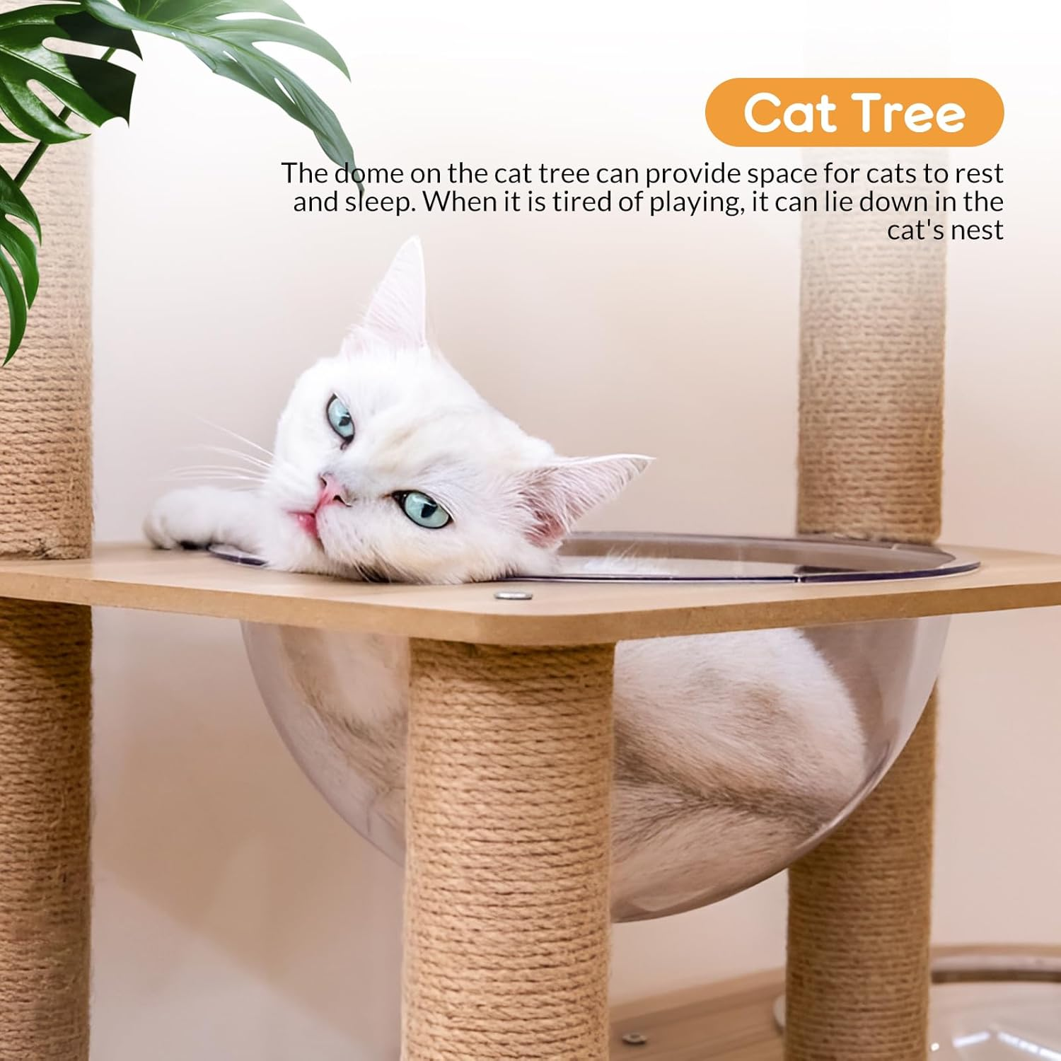 Space Clear Capsule Dome Cover, Acrylic Nest Bed Replacement for Cat Hammock, Tree Shelves, Window Perch DIY Accessories (40Cm) - 40Cm image number 4