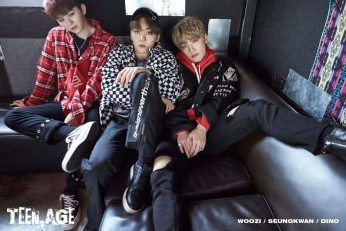 SEVENTEEN TEEN, AGE Reissue 2Nd Album GREEN Version Cd+1P Folding Poster on Pack+120P Photobook+16P Lyrics Paper+1P Photocard+1Ea Portrait Desktop Stand+1Ea Name Sticker+Tracking Sealed SVT image number 6