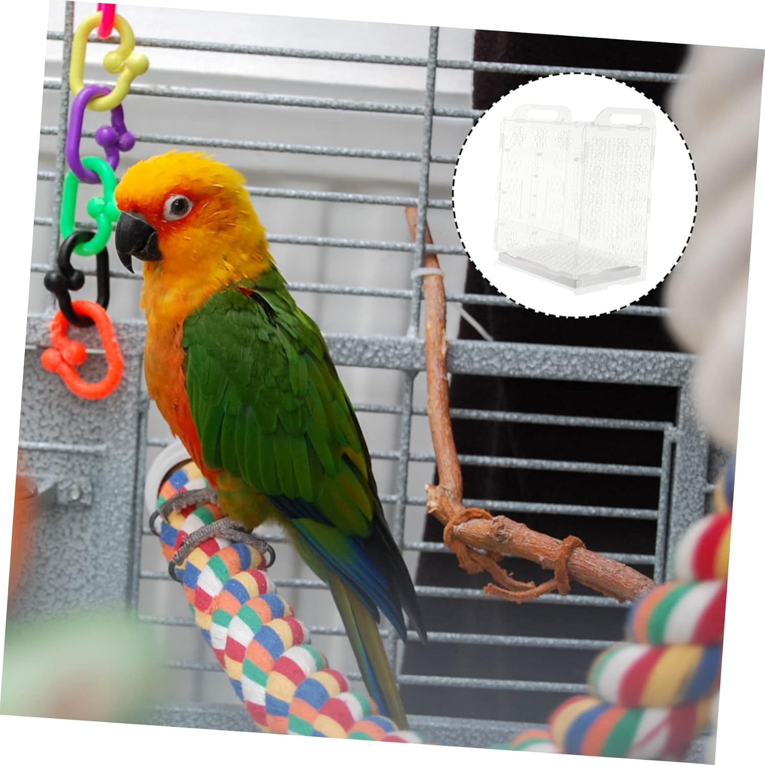 Minkissy Acrylic Parrot Cage Spacious Interior Sturdy Tear-Resistant Small Bird Nest House Good Airflow Simple PET Bird Supply image number 6