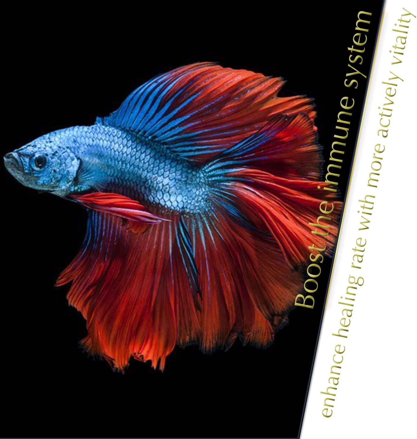 Bettaleaf Comfort Zone Fish Indian Almond Leaves Slice in Pieces Leaf Ready to Use 45 Grams Pack (80~100 Pieces) | Best Gold Brown Quality | Fish Tank for Betta Fish Shrimp Crayfish, for Healthy