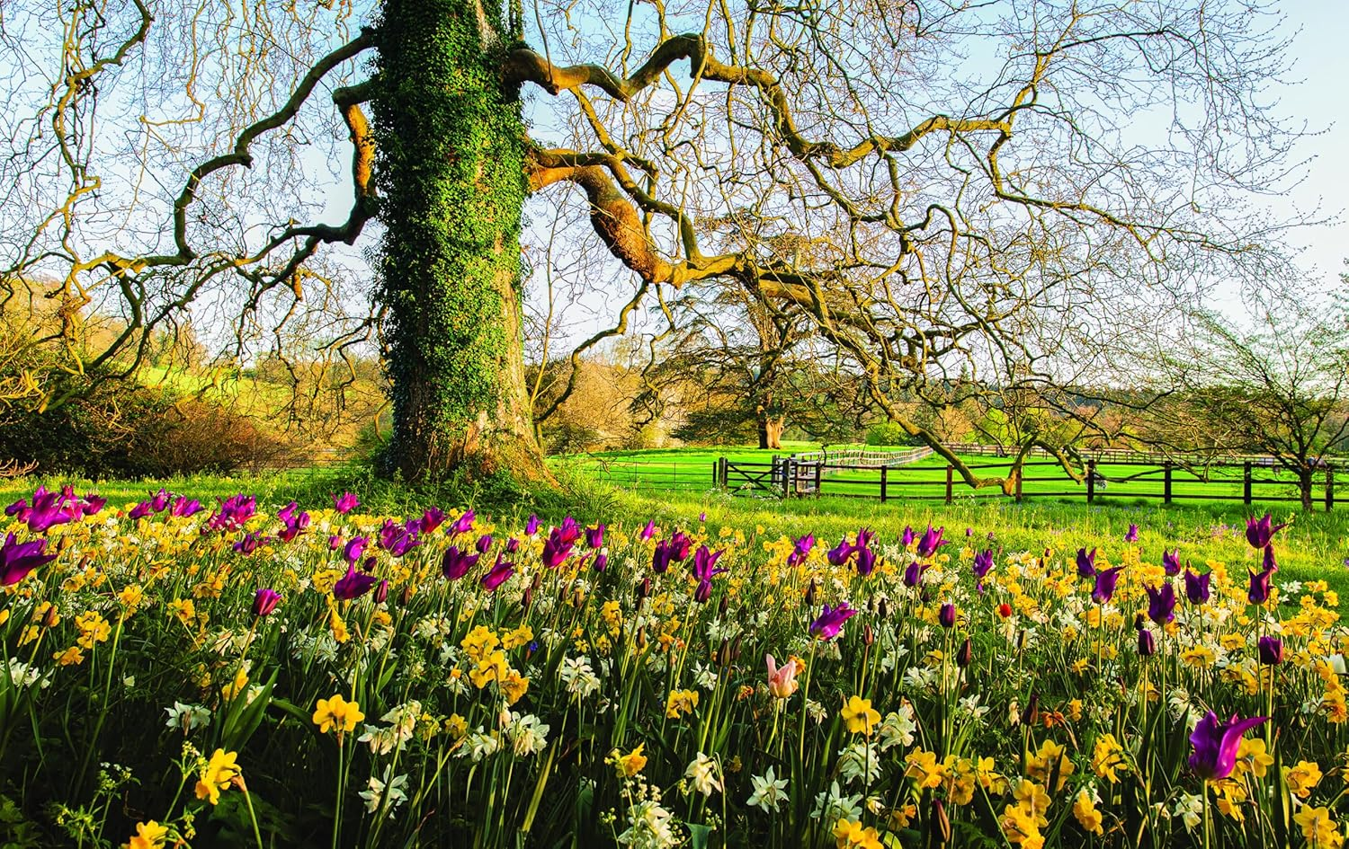 Martha Stewart'S Gardening Handbook: the Essential Guide to Designing, Planting, and Growing image number 1