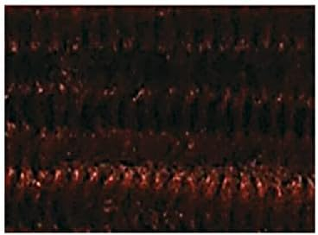 Folia 77885 Chenille Wire, Pipe Cleaners, Pack of 10 in Brown, Diameter 8 Mm and 50 Cm Long, Ideal for Children for Crafts and Designing Animals, Figures and Other Shapes