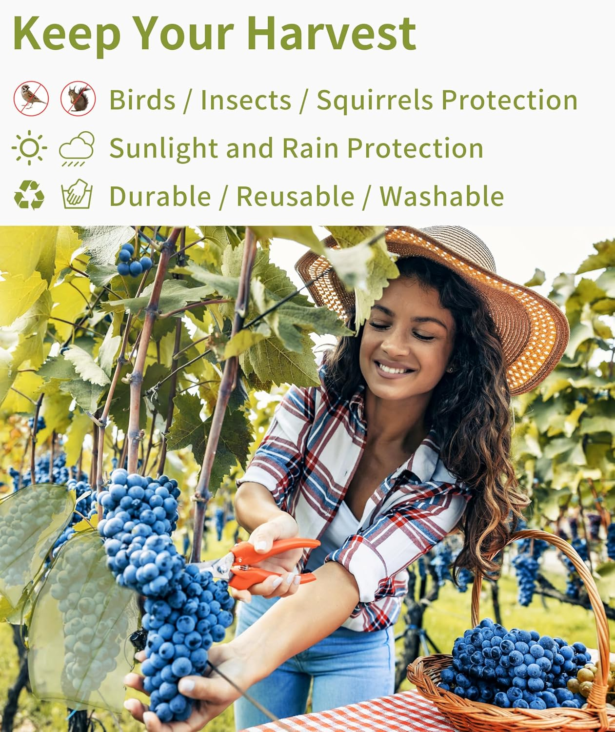 Jexila 50 Pack Fruit Protection Bags 12X16 Inch Fruit Netting Bags for Fruit Trees Fruit Cover Mesh Drawstring Bags Fruit Protectors Pest Barrier for Grapes Mango Flower Veggies Garden image number 1