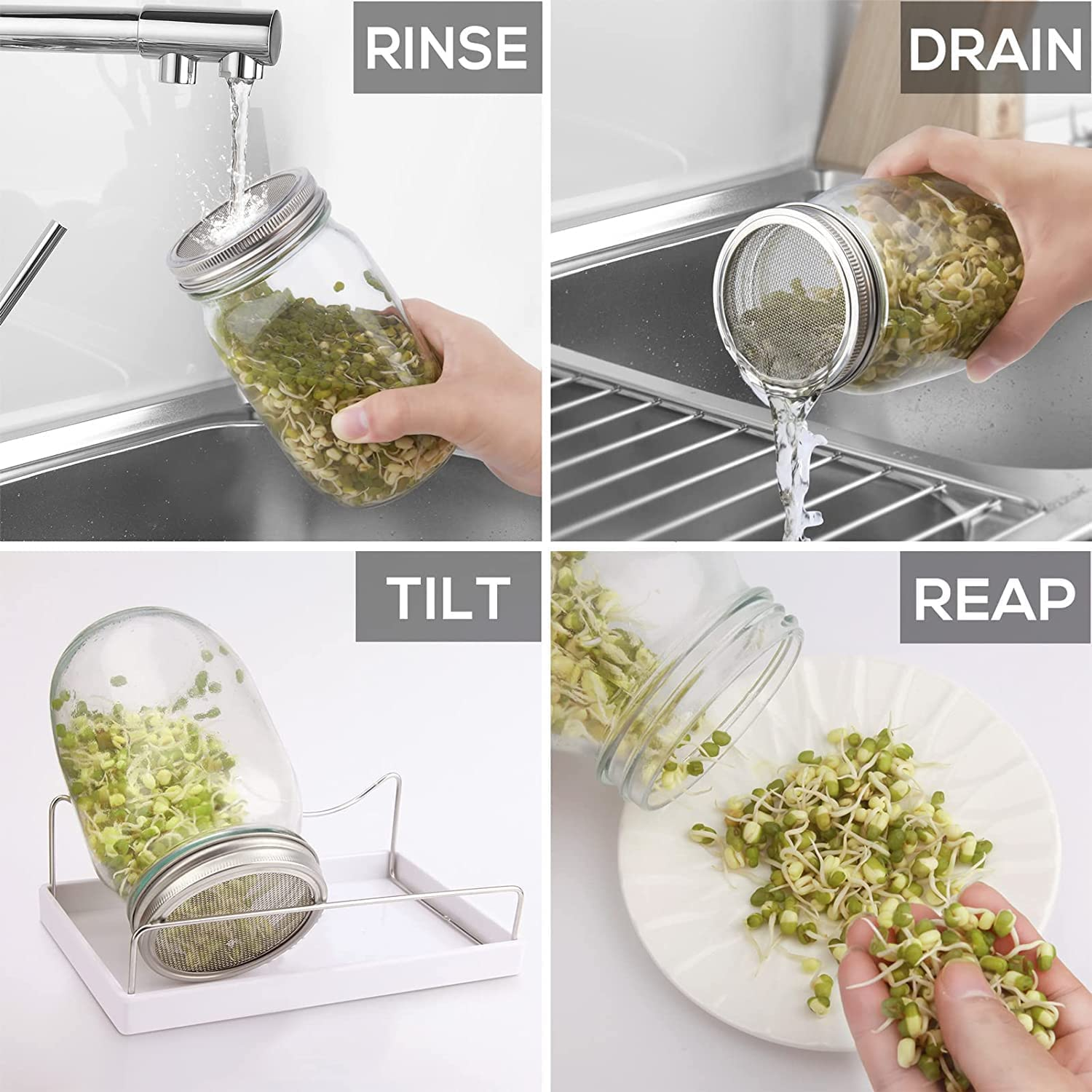 Complete Mason Jar Sprouting Kit. 2 Wide Mouth Quart Sprouting Jars with 316 Stainless Steel Sprouting Lids, Drip Tray and Stand image number 4