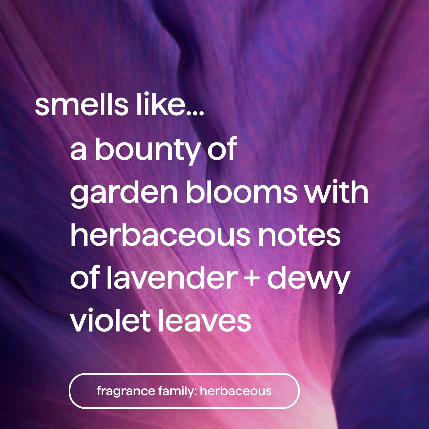 Method Foaming Liquid Hand Soap Refill, Violet & Lavender, Biodegradable Formula, 28 Fl Oz (Pack of 1) (Package May Vary) image number 4