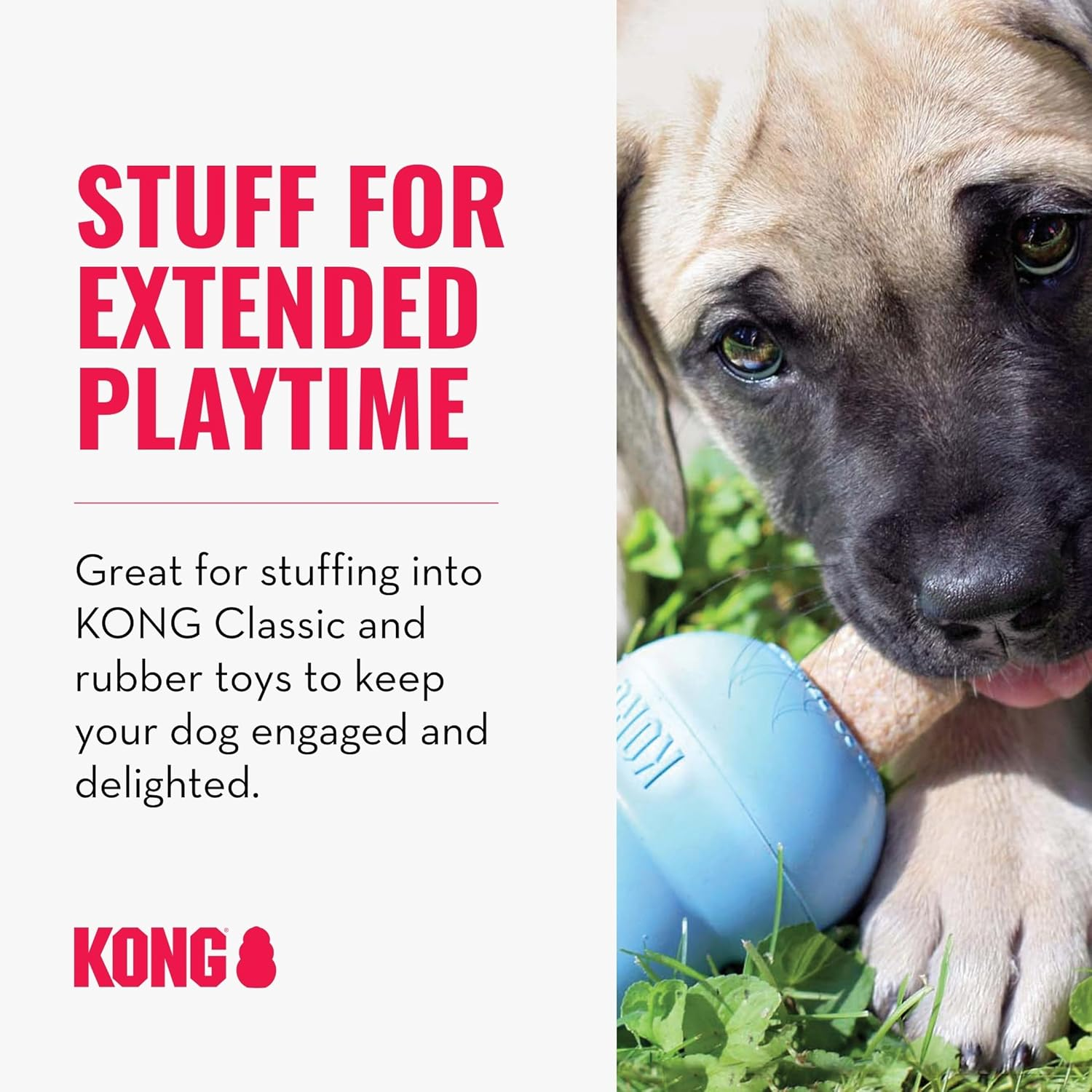 KONG - Farmyard Friends - All Natural Dog Treats (Best Used with KONG Classic Rubber Toys) - Smoked Bacon image number 5