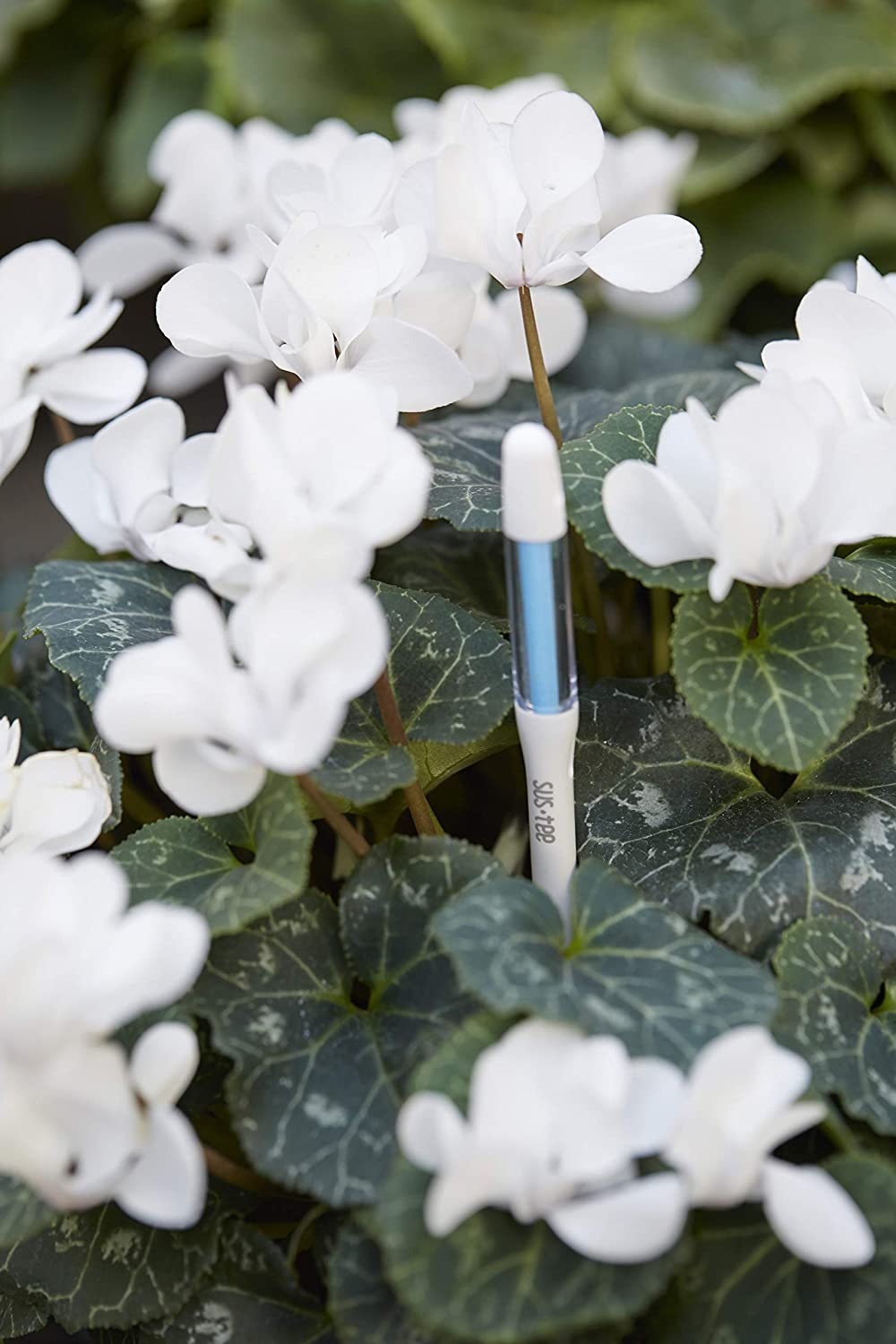 Cabinoche SUSTEE Set of 5 L White