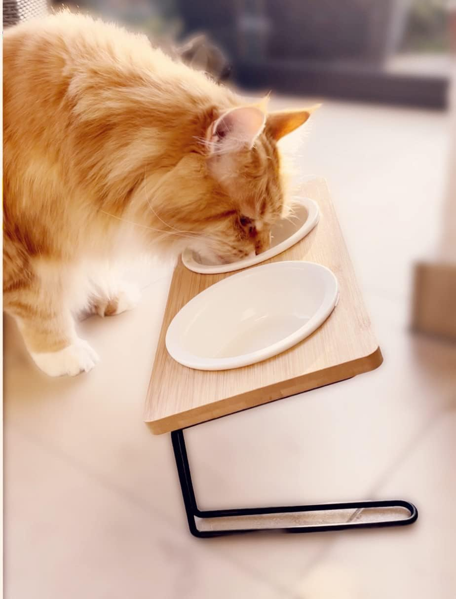 Feeding Bowl for Cats and Small Dogs Made of Bamboo and Metal, Inclined with Ceramic Bowls image number 3